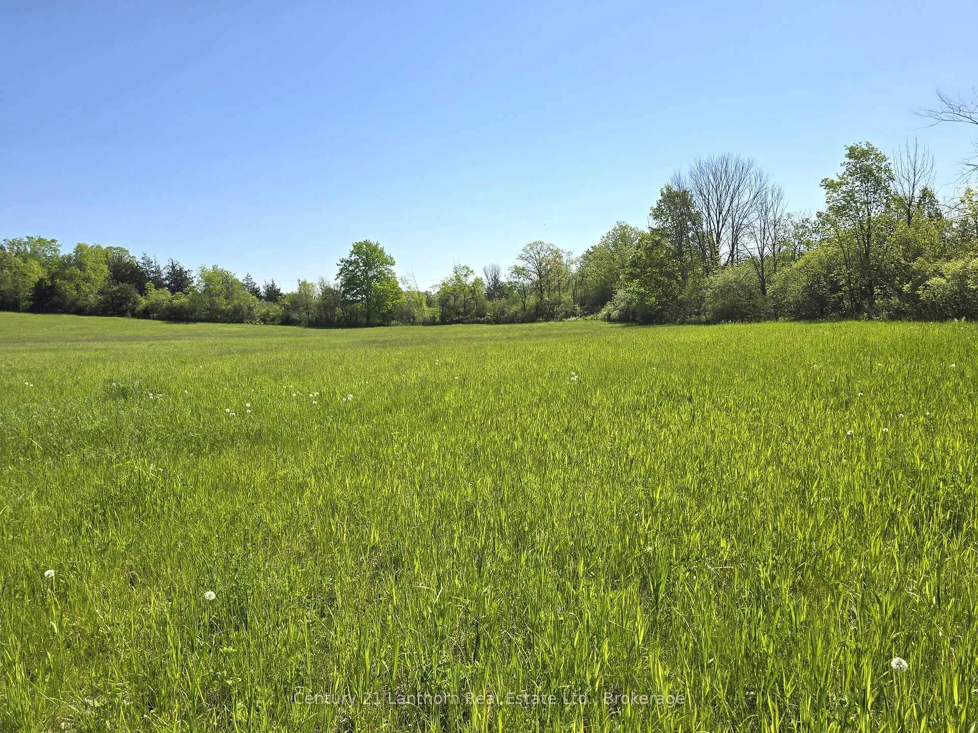 Photo 3 of Bronk Road, Belleville, Thurlow Ward — HOMEH