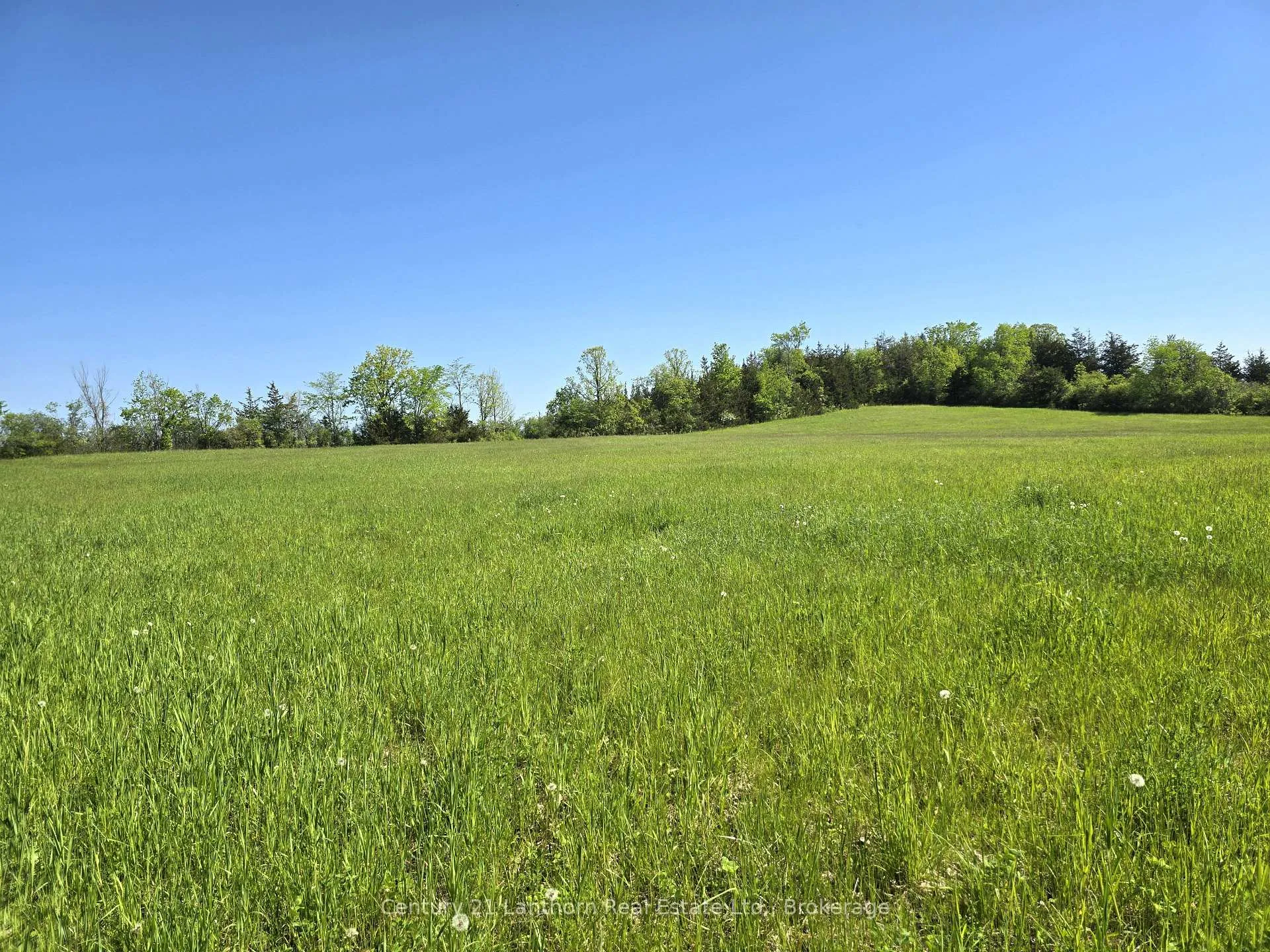 Photo 5 of Bronk Road, Belleville, Thurlow Ward — HOMEH