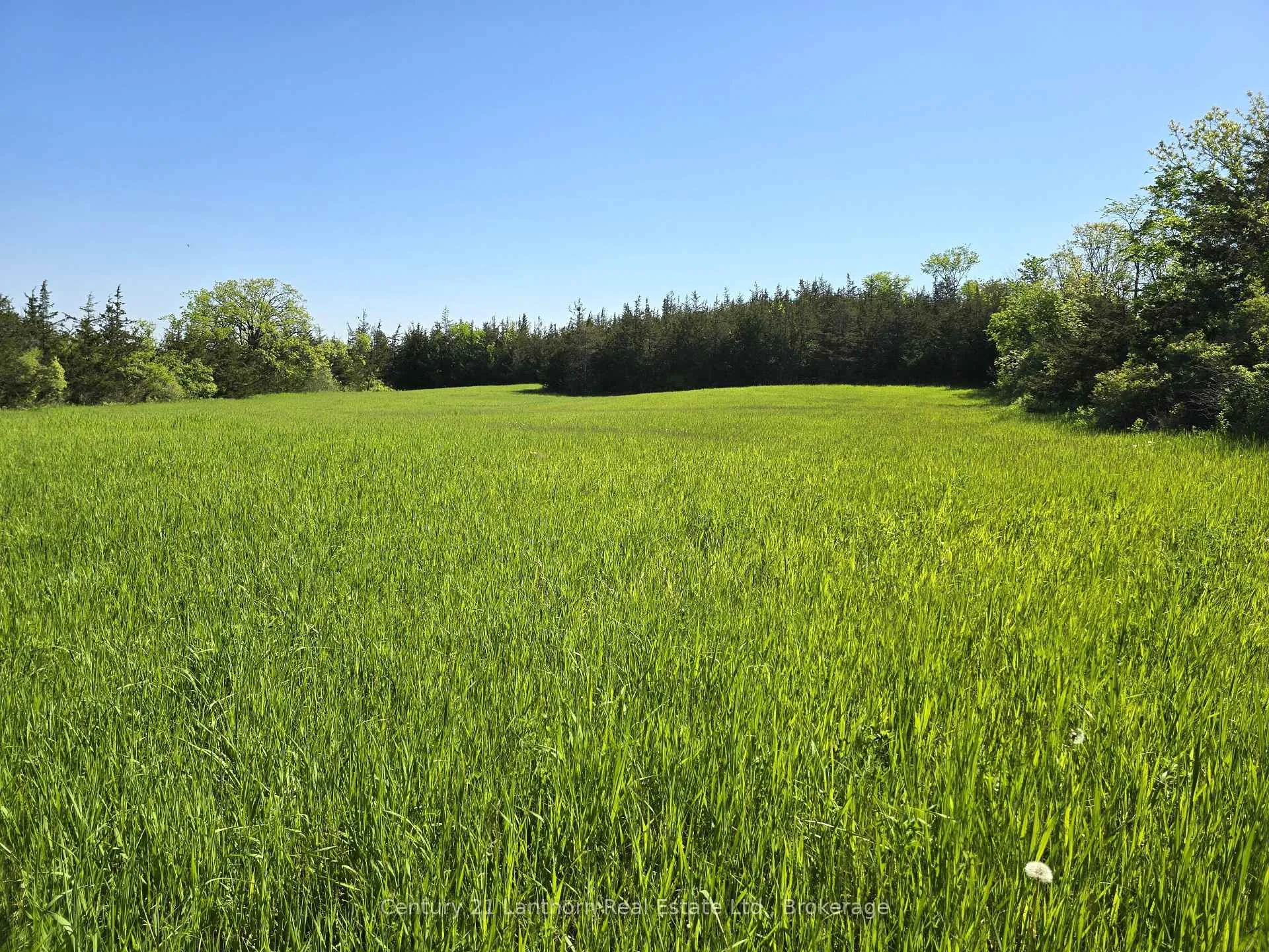 Photo 6 of Bronk Road, Belleville, Thurlow Ward — HOMEH