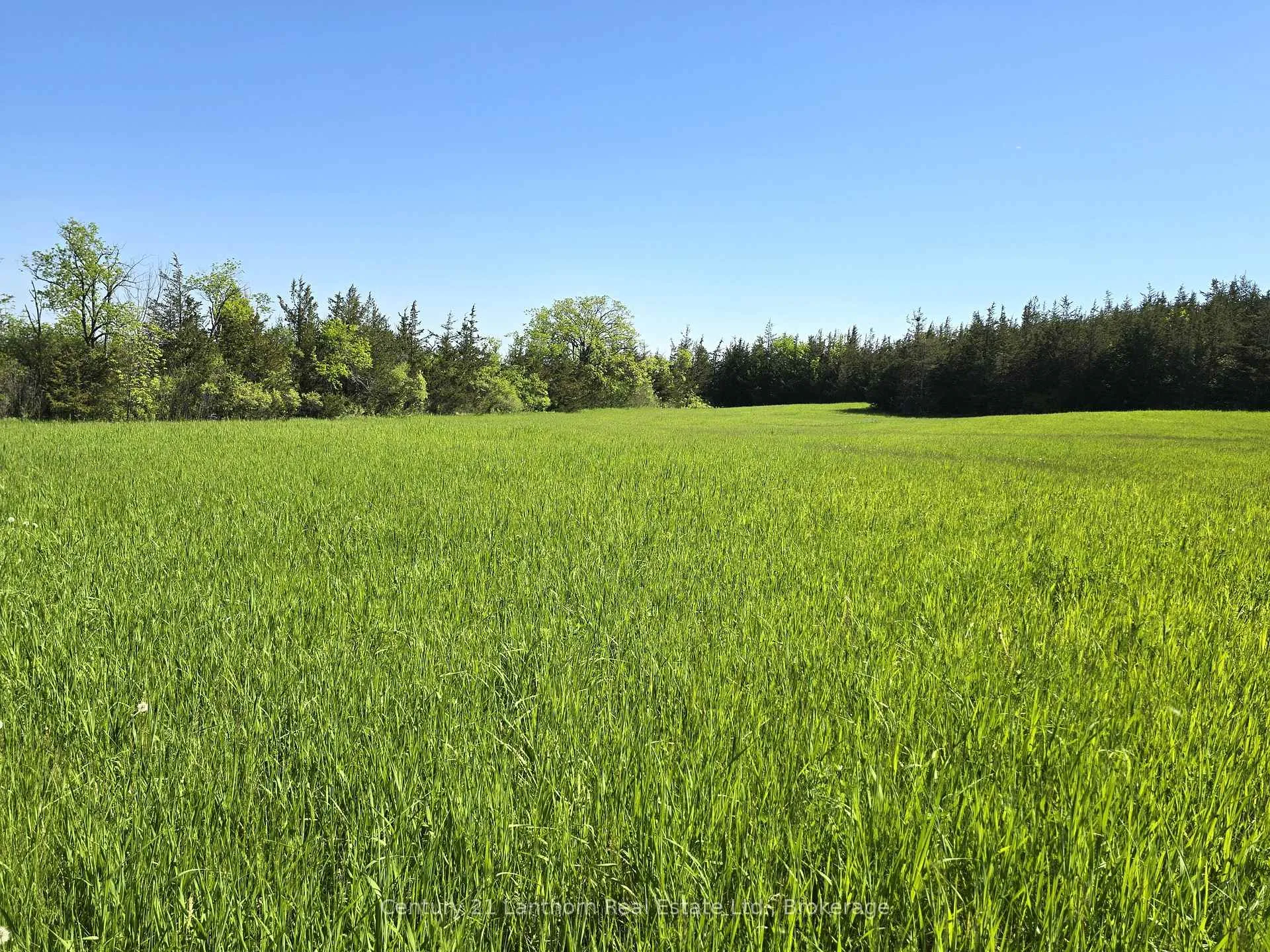 Photo 7 of Bronk Road, Belleville, Thurlow Ward — HOMEH