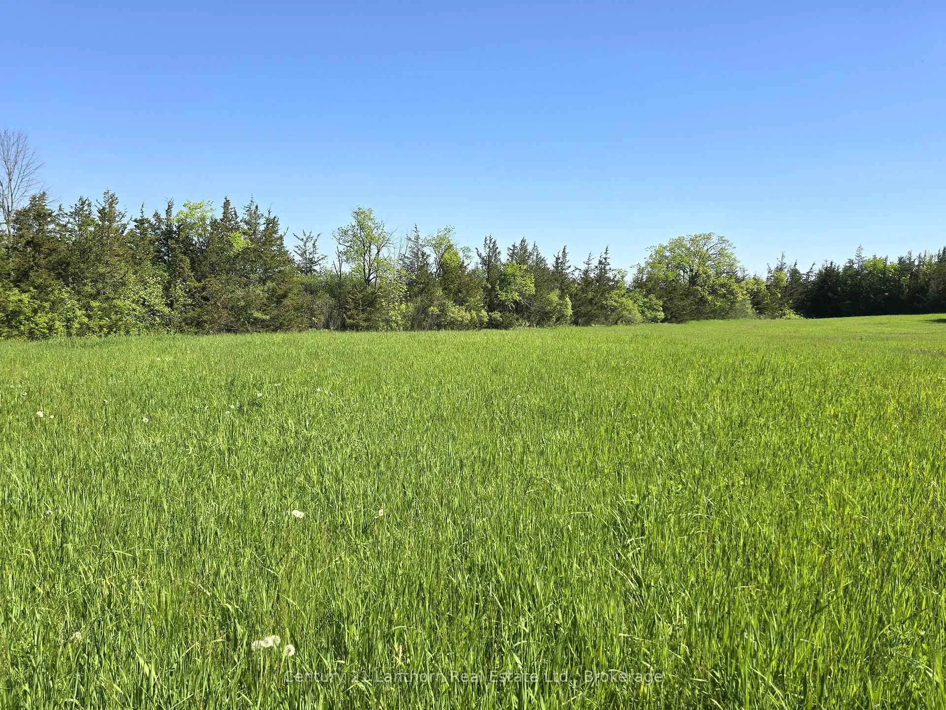 Photo 8 of Bronk Road, Belleville, Thurlow Ward — HOMEH