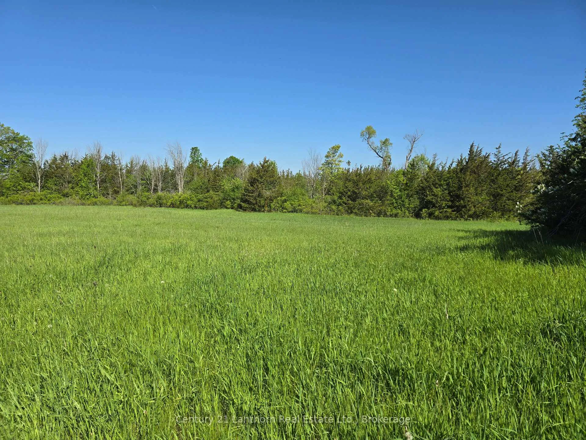 Photo 9 of Bronk Road, Belleville, Thurlow Ward — HOMEH