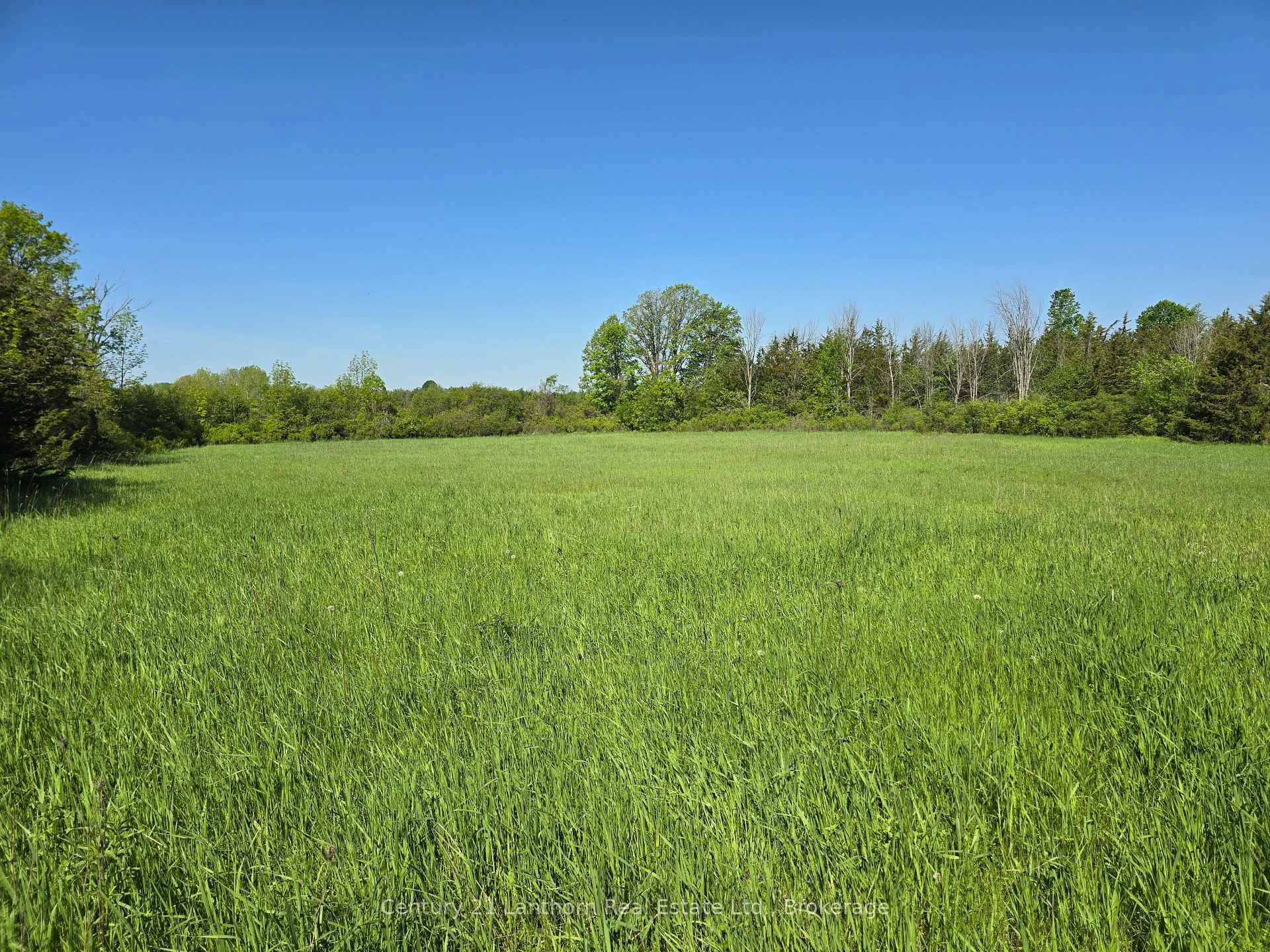Photo 10 of Bronk Road, Belleville, Thurlow Ward — HOMEH