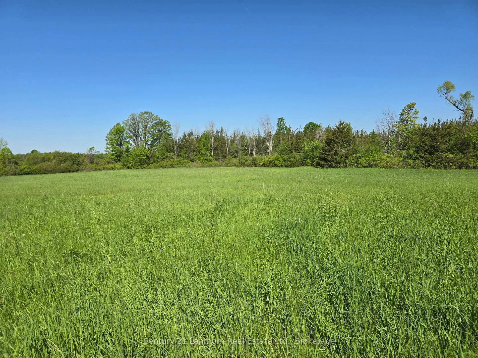 Photo 11 of Bronk Road, Belleville, Thurlow Ward — HOMEH