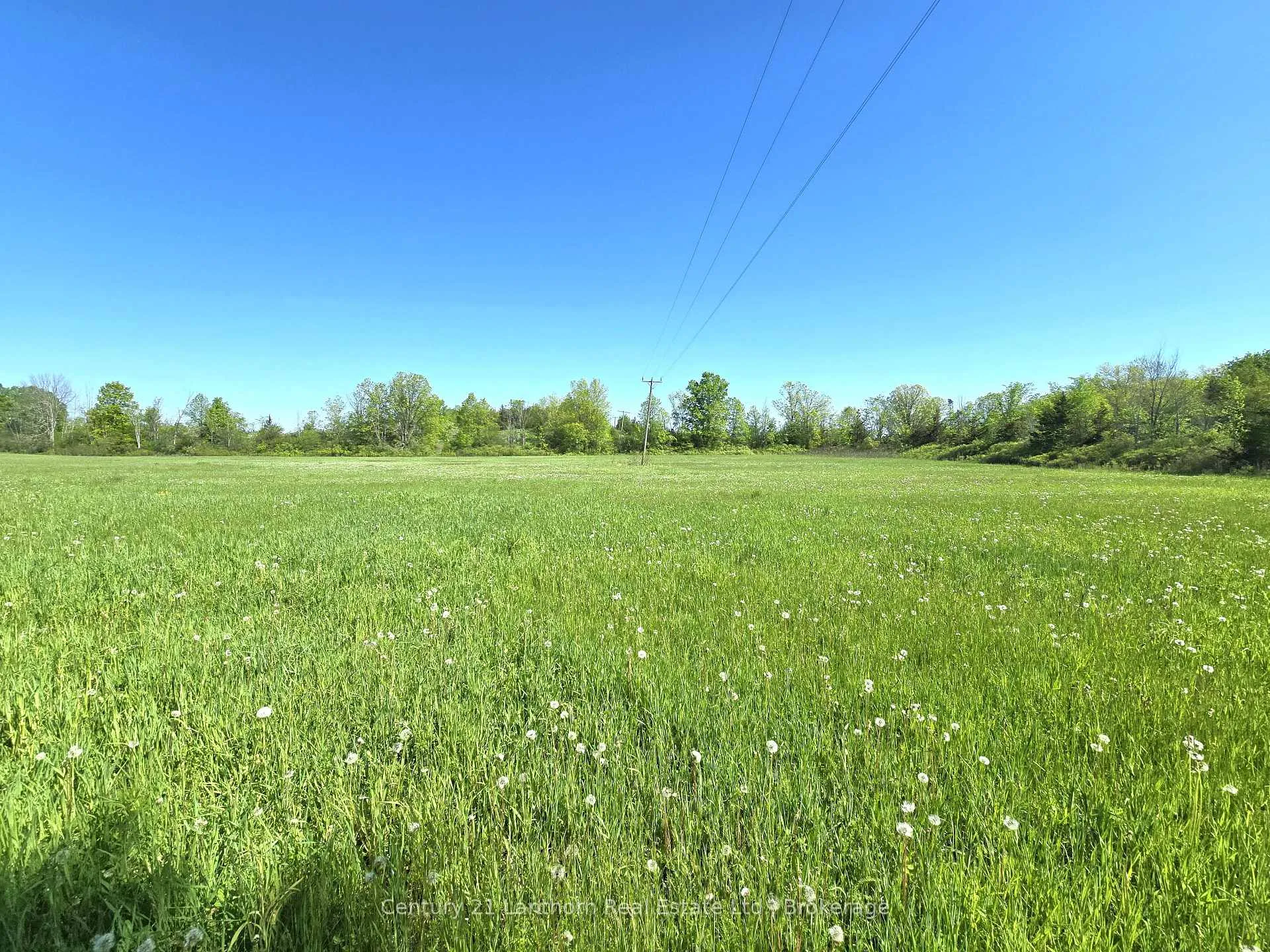 Photo 12 of Bronk Road, Belleville, Thurlow Ward — HOMEH