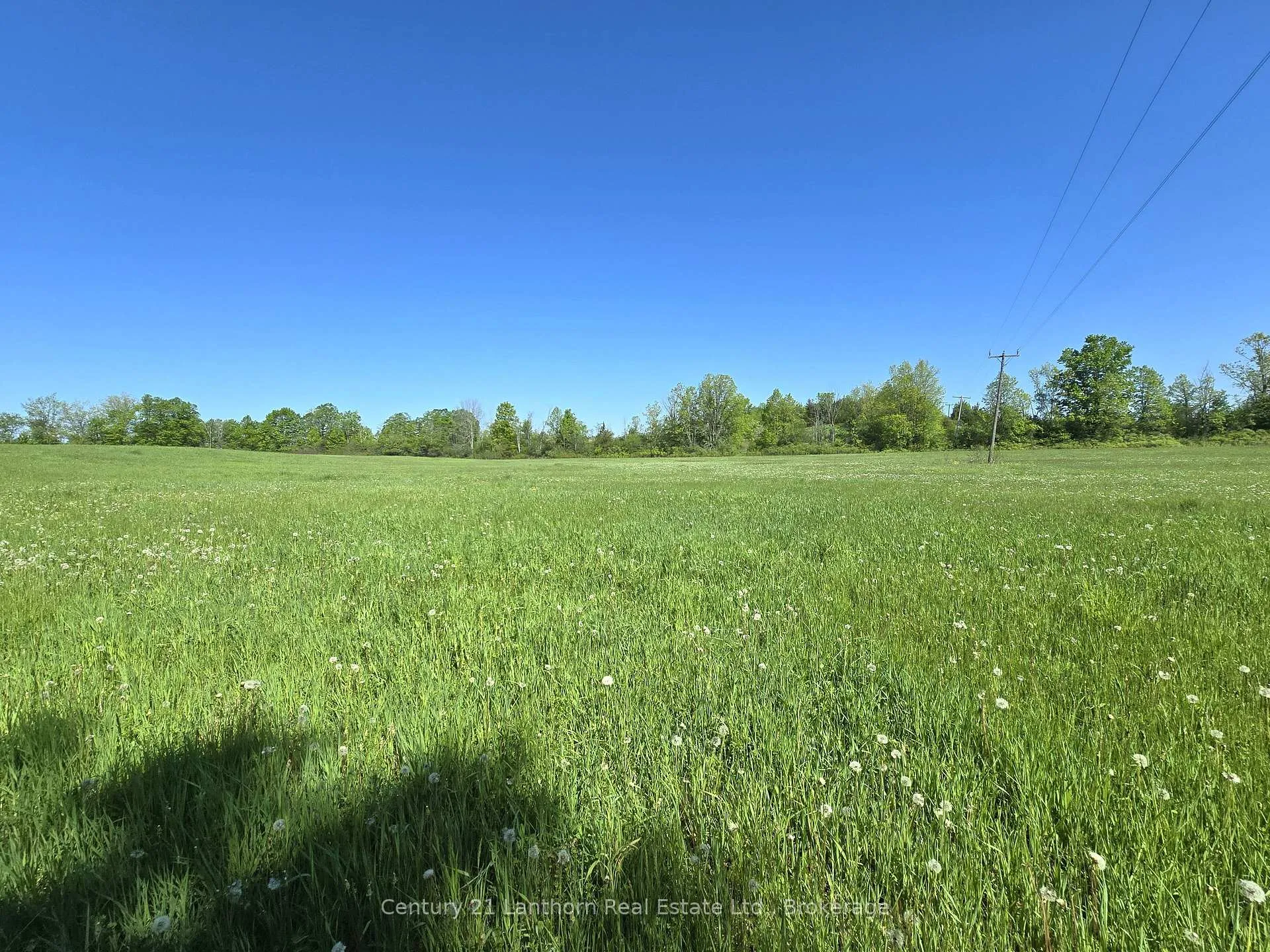 Photo 13 of Bronk Road, Belleville, Thurlow Ward — HOMEH