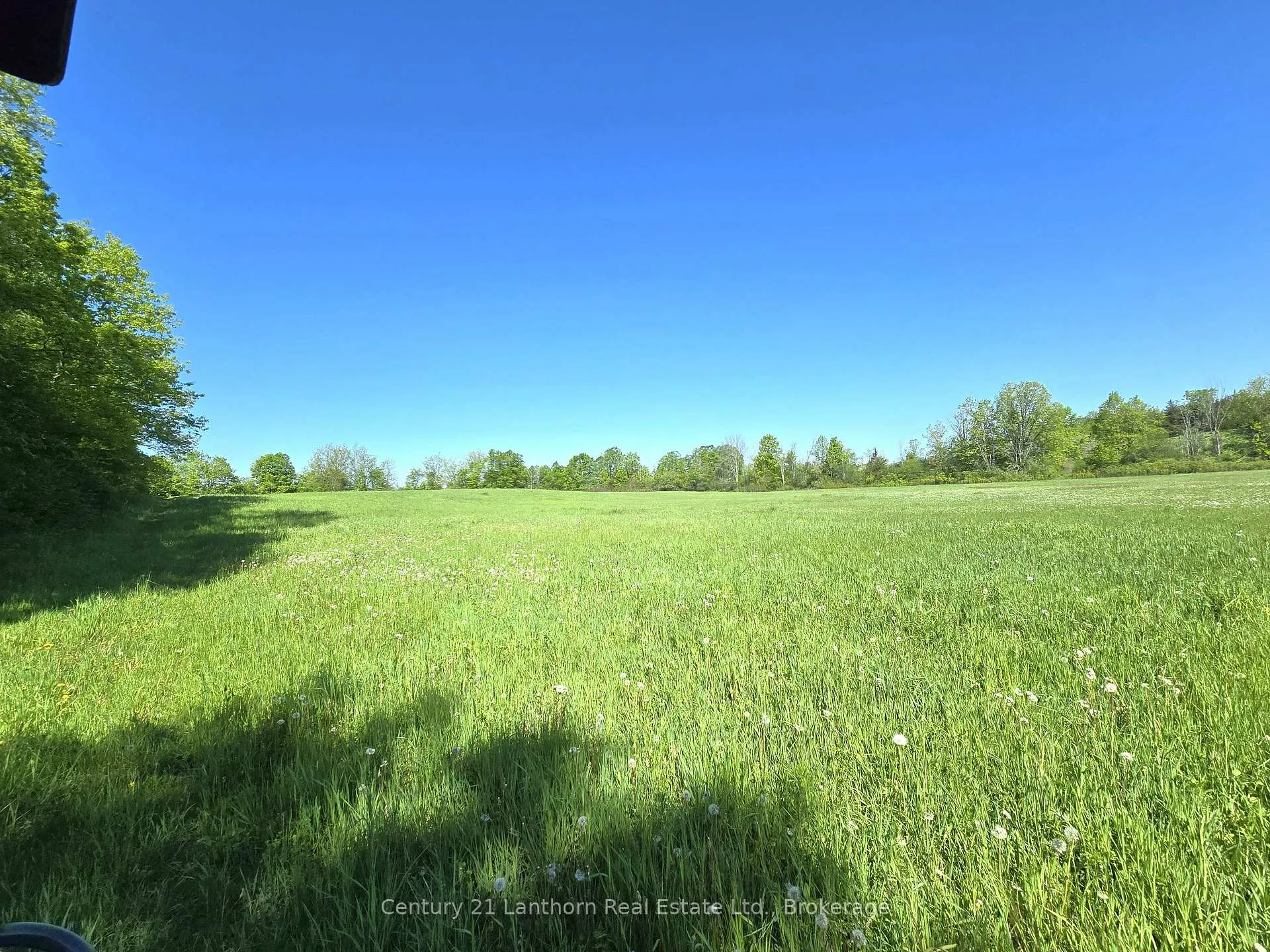 Photo 14 of Bronk Road, Belleville, Thurlow Ward — HOMEH