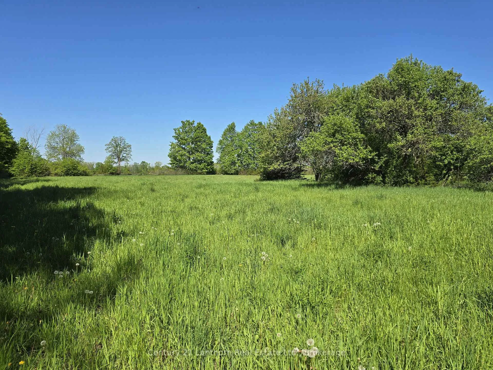 Photo 15 of Bronk Road, Belleville, Thurlow Ward — HOMEH