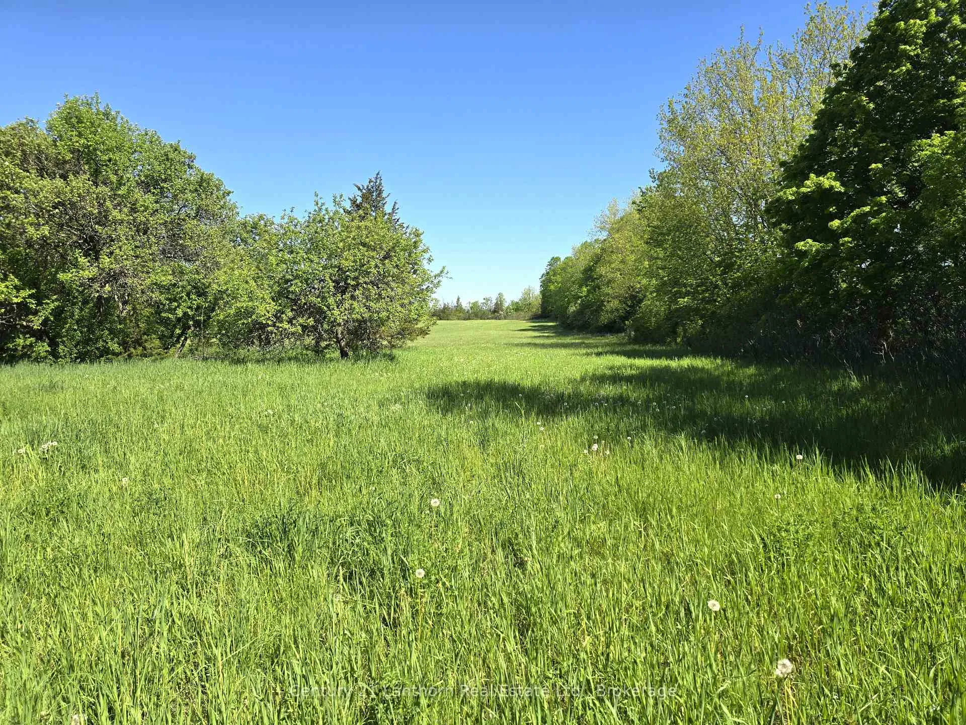 Photo 16 of Bronk Road, Belleville, Thurlow Ward — HOMEH