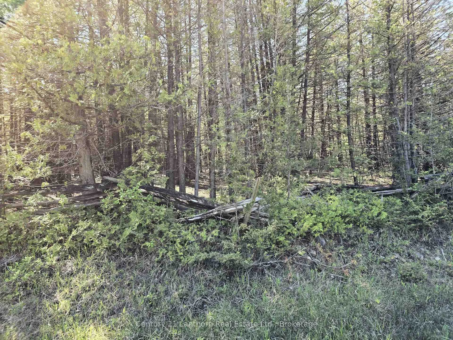 Photo 18 of Bronk Road, Belleville, Thurlow Ward — HOMEH