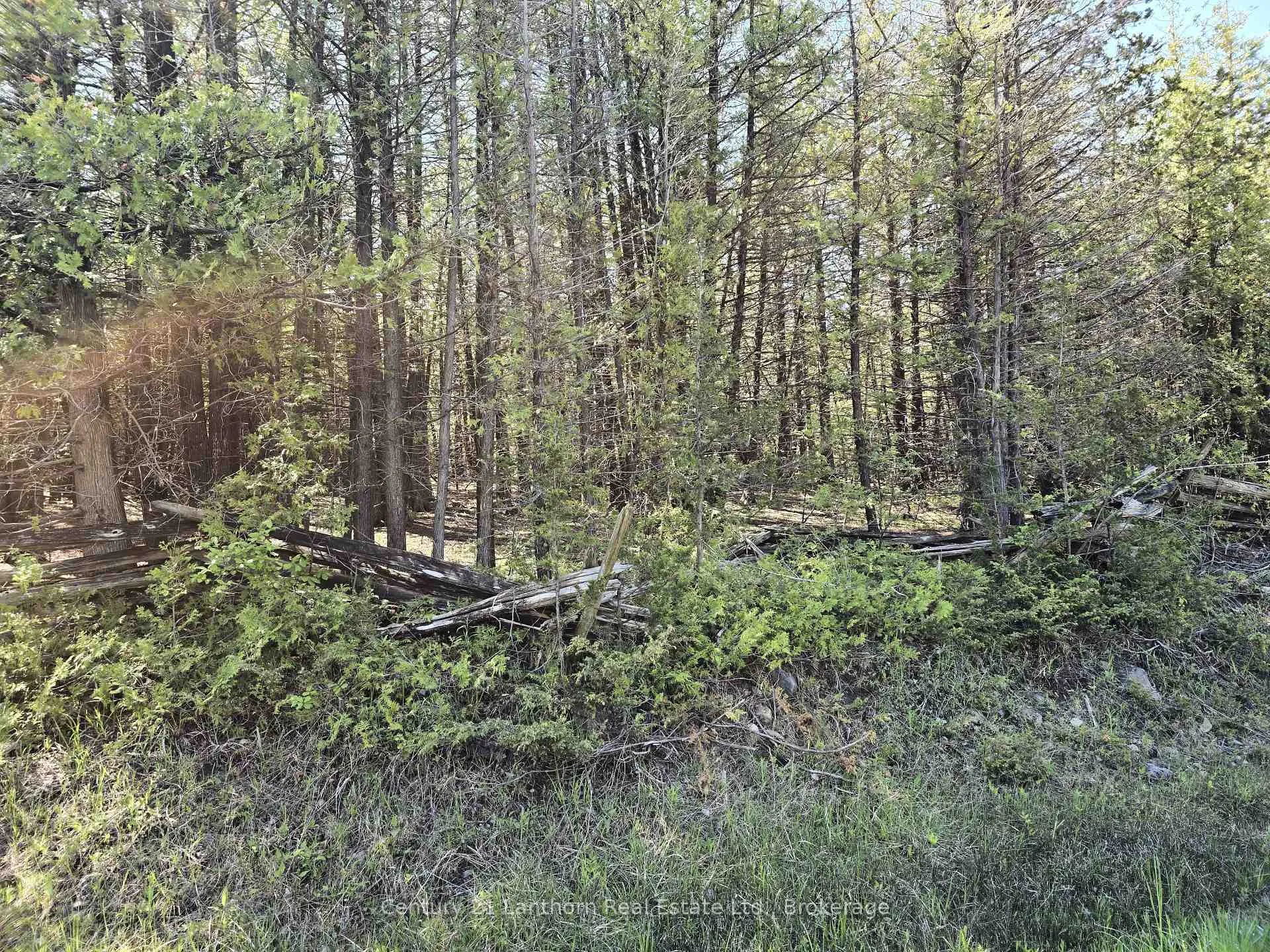 Photo 19 of Bronk Road, Belleville, Thurlow Ward — HOMEH