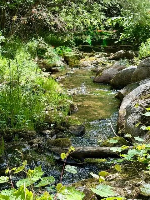 Photo of PT LT 12 Part 2 18 Grey Road