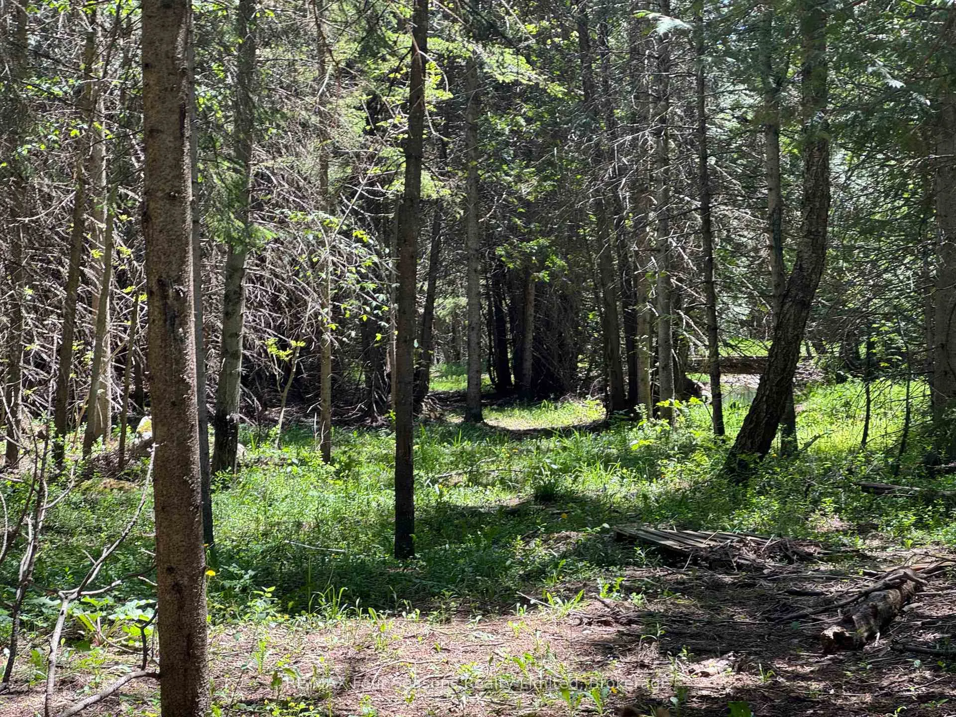 Photo 9 of PT LT 12 Part 2 18 Grey Road, Meaford — HOMEH