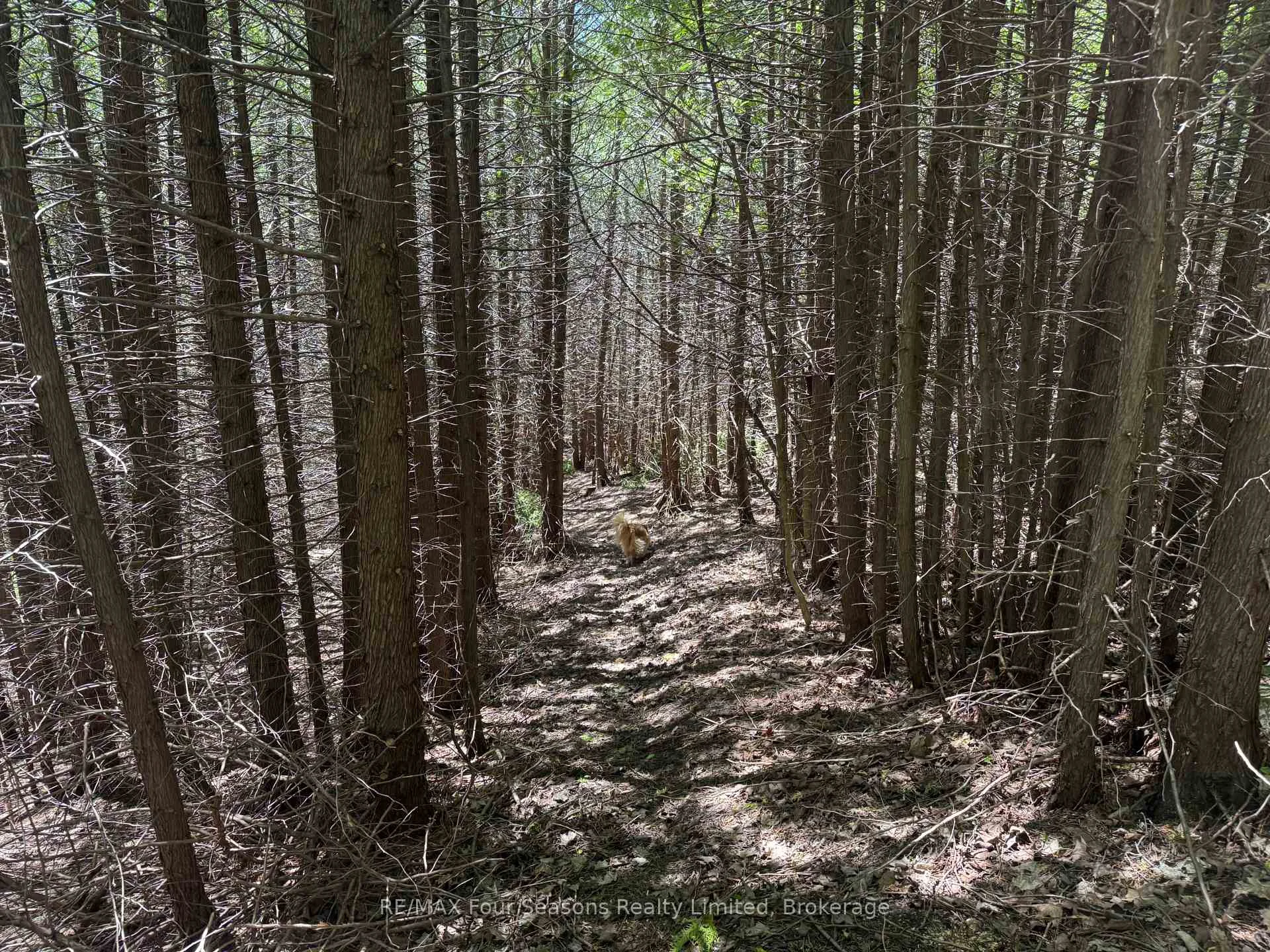 Photo 23 of PT LT 12 Part 2 18 Grey Road, Meaford — HOMEH