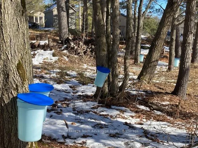 Photo 42 of 121 Rattlebear Drive, The Archipelago, Archipelago North — HOMEH