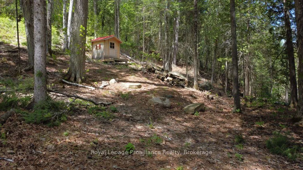 Photo 5 of 22202 Highway 41, Addington Highlands — HOMEH