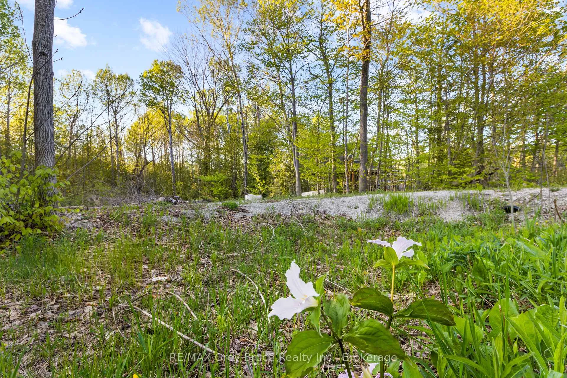Photo 10 of 71 Maple Drive, Northern Bruce Peninsula — HOMEH