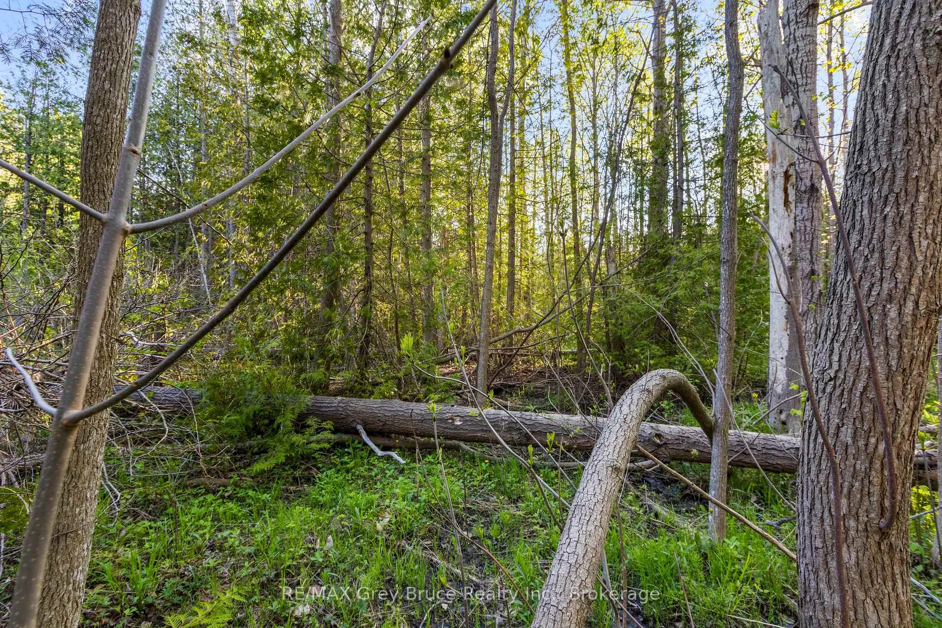 Photo 13 of 71 Maple Drive, Northern Bruce Peninsula — HOMEH