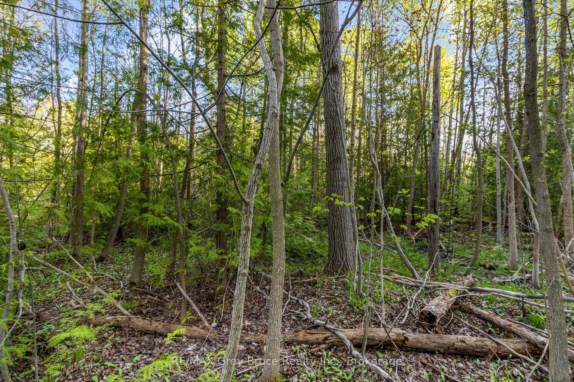 Photo 14 of 71 Maple Drive, Northern Bruce Peninsula — HOMEH