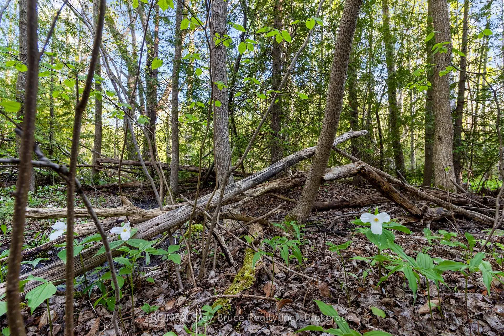 Photo 15 of 71 Maple Drive, Northern Bruce Peninsula — HOMEH