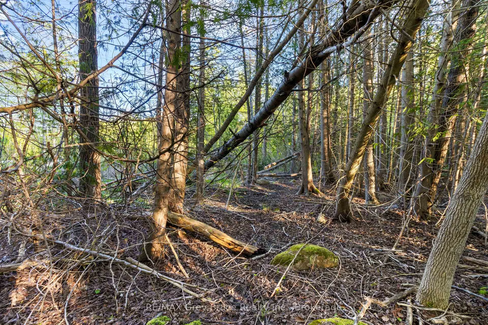 Photo 16 of 71 Maple Drive, Northern Bruce Peninsula — HOMEH
