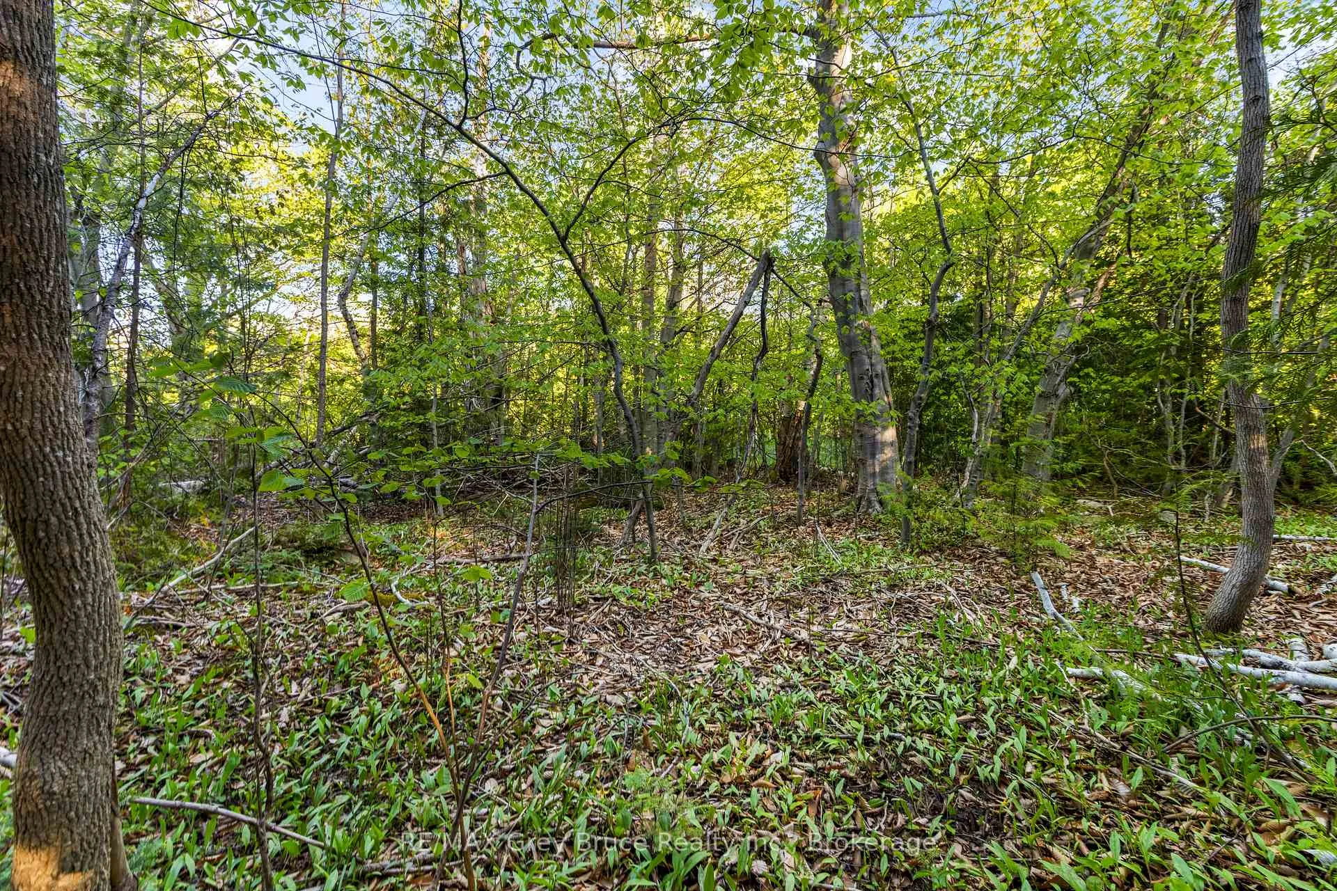 Photo 17 of 71 Maple Drive, Northern Bruce Peninsula — HOMEH