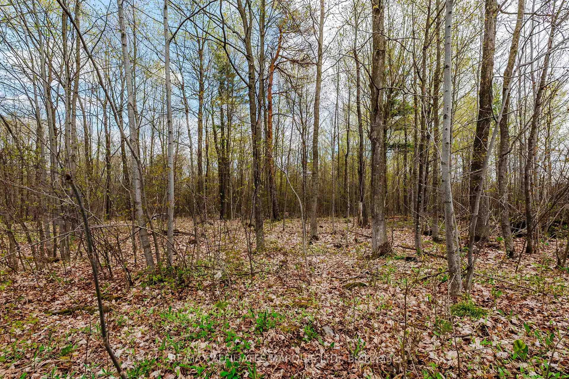 Photo 8 of 00000 Beaver Brook Road, South Glengarry, South Glengarry (Charlottenburgh) Twp — HOMEH