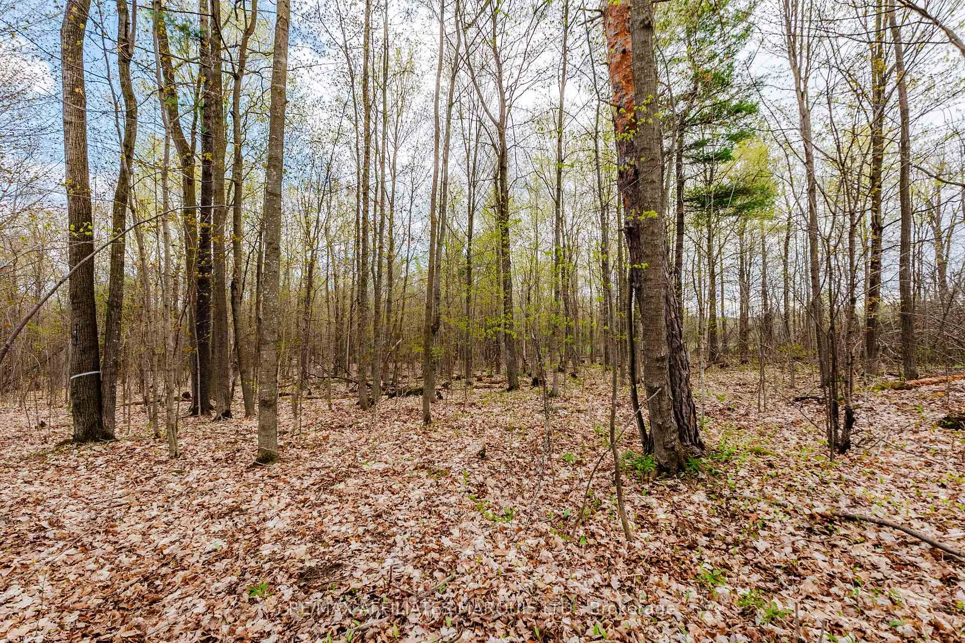 Photo 9 of 00000 Beaver Brook Road, South Glengarry, South Glengarry (Charlottenburgh) Twp — HOMEH