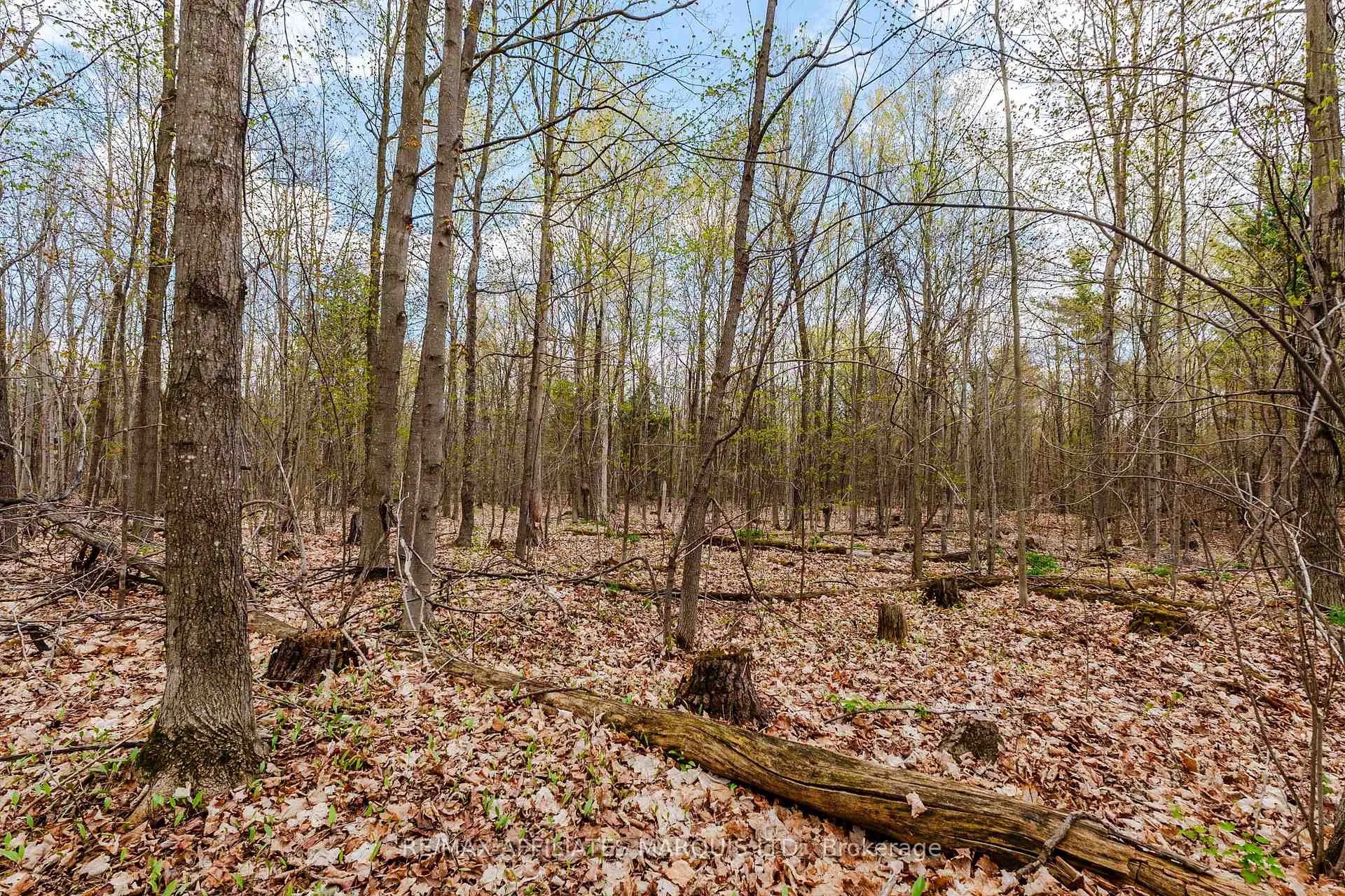 Photo 10 of 00000 Beaver Brook Road, South Glengarry, South Glengarry (Charlottenburgh) Twp — HOMEH