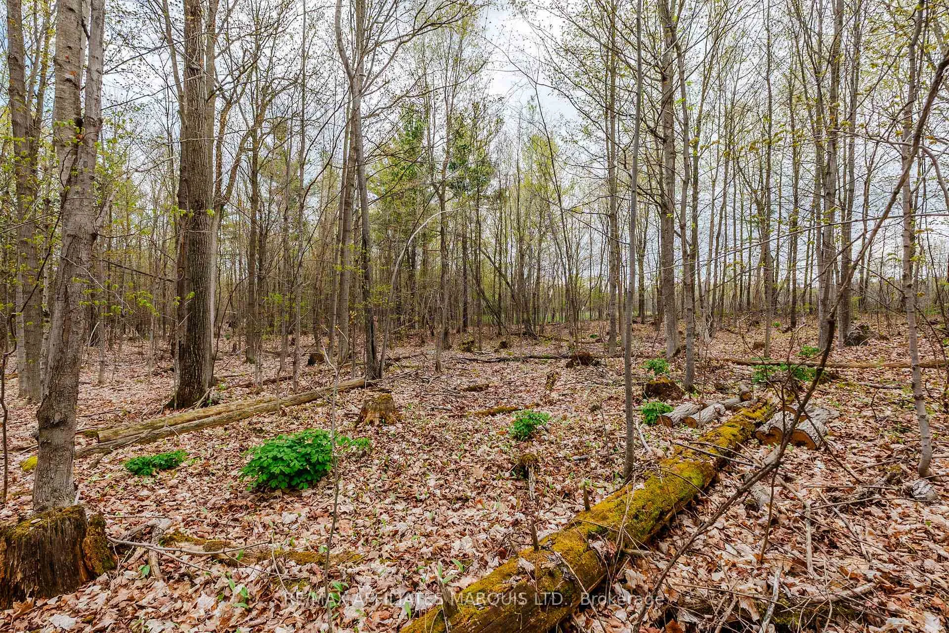 Photo 12 of 00000 Beaver Brook Road, South Glengarry, South Glengarry (Charlottenburgh) Twp — HOMEH