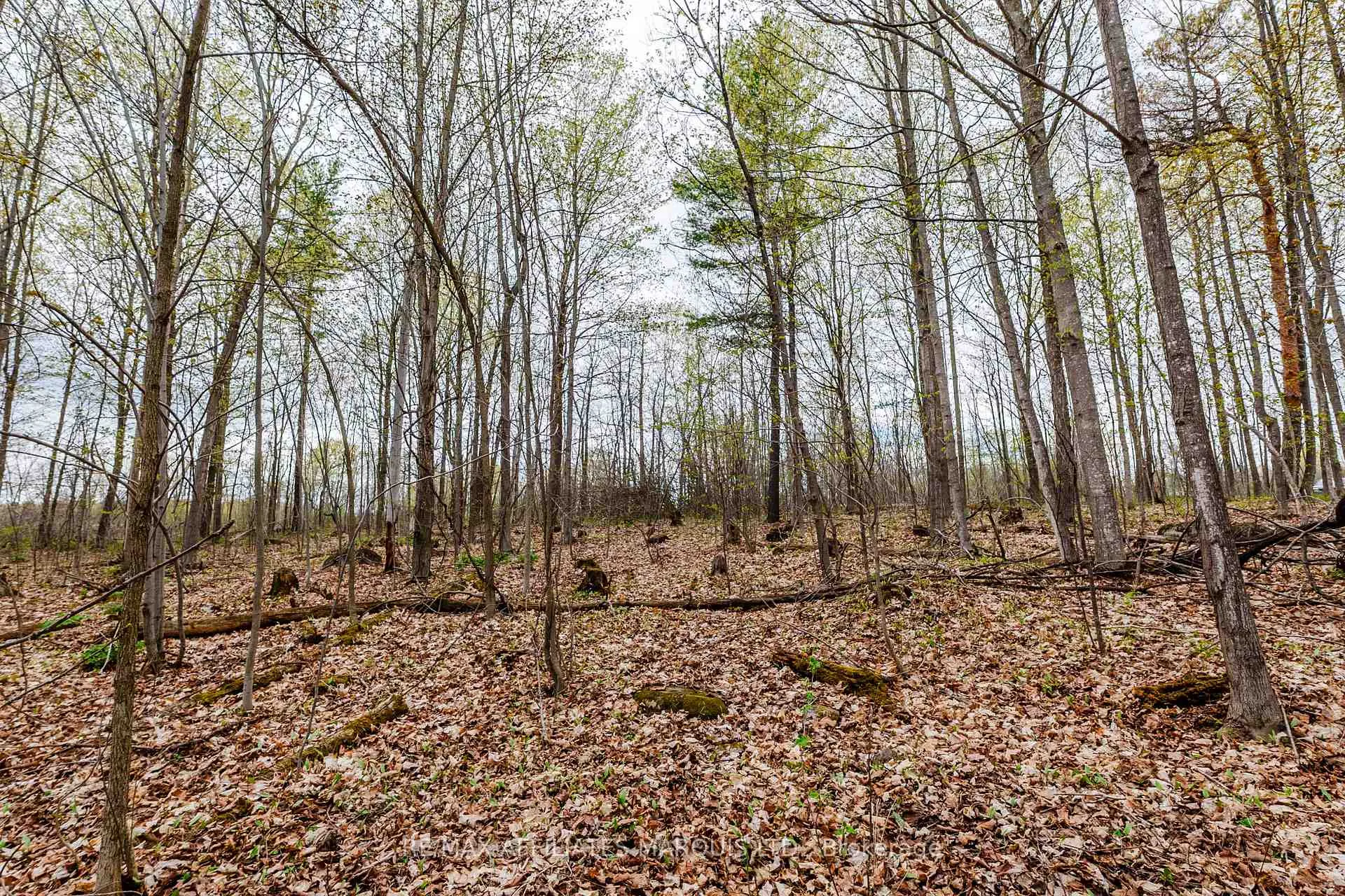 Photo 13 of 00000 Beaver Brook Road, South Glengarry, South Glengarry (Charlottenburgh) Twp — HOMEH