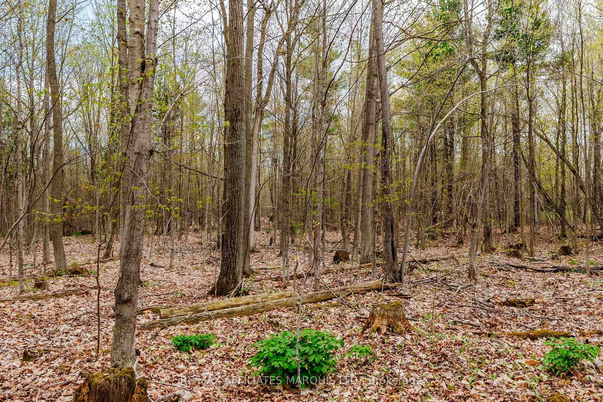Photo 14 of 00000 Beaver Brook Road, South Glengarry, South Glengarry (Charlottenburgh) Twp — HOMEH