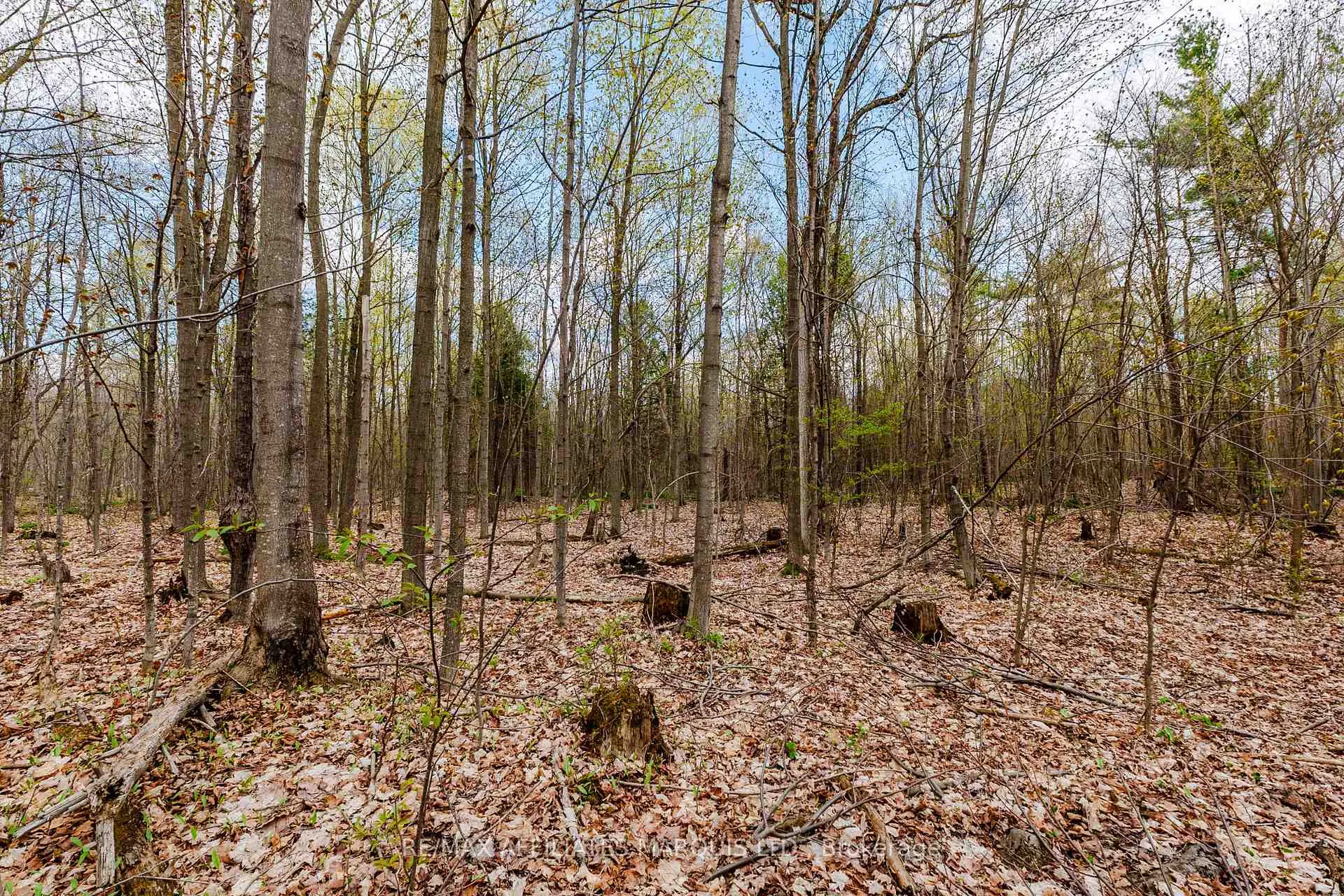 Photo 15 of 00000 Beaver Brook Road, South Glengarry, South Glengarry (Charlottenburgh) Twp — HOMEH