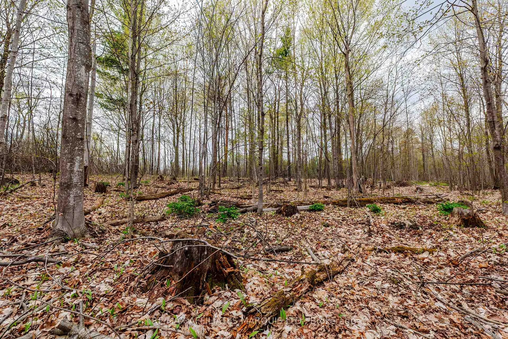 Photo 16 of 00000 Beaver Brook Road, South Glengarry, South Glengarry (Charlottenburgh) Twp — HOMEH