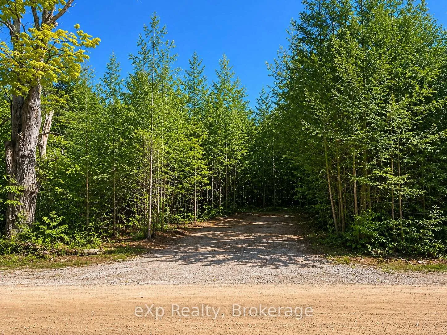 Photo 2 of PT LT 12 Concession 14, West Grey — HOMEH