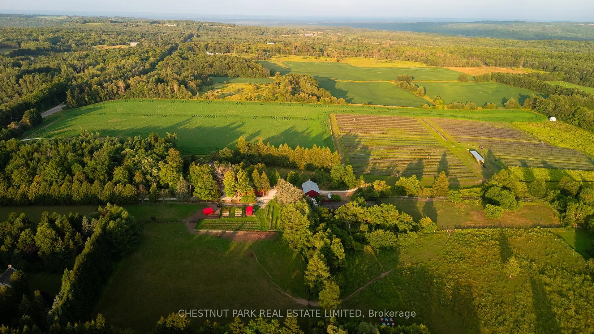Photo 4 of 347036 Mono Centre Road, Mono, Rural Mono — HOMEH