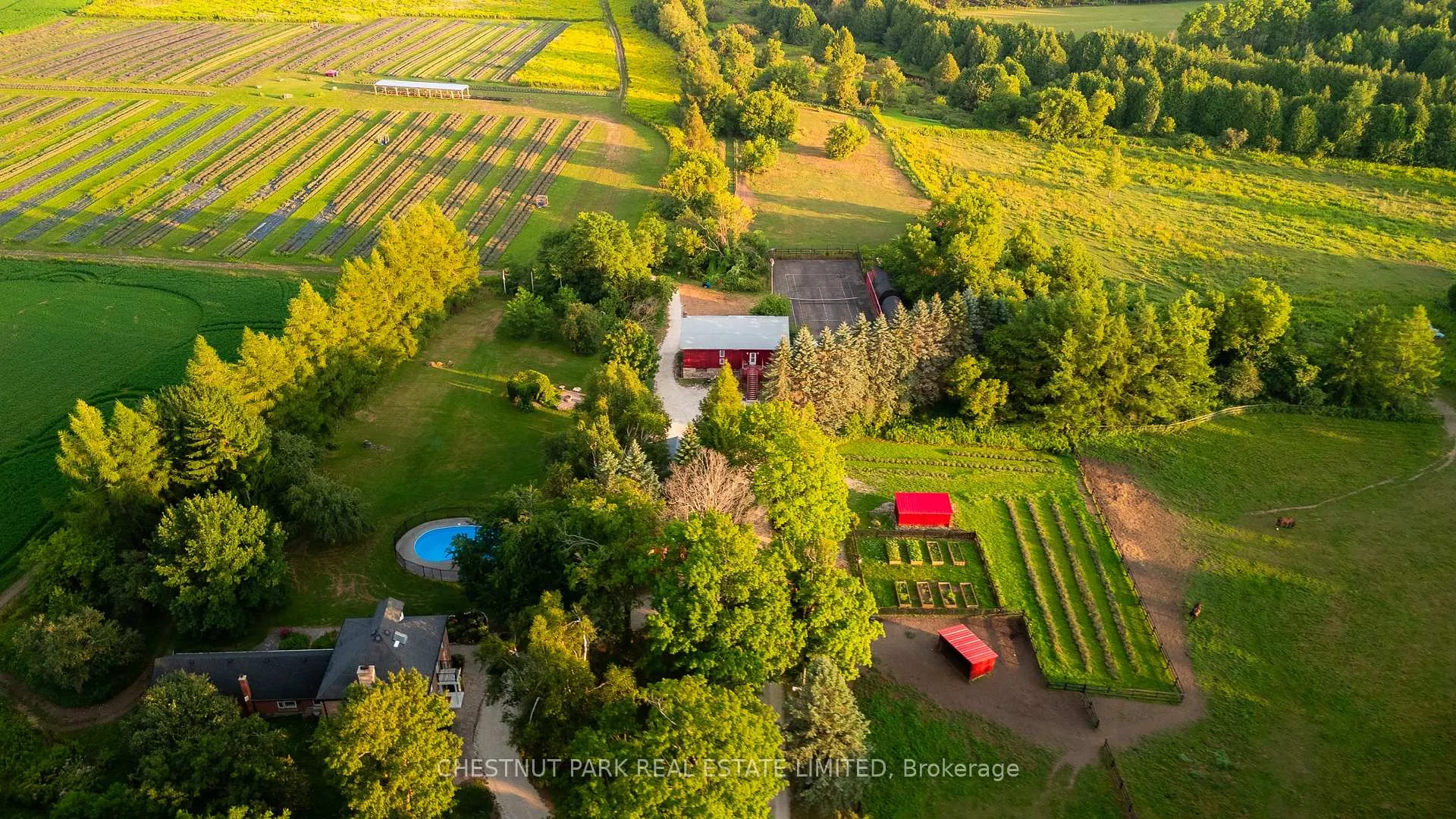 Photo 5 of 347036 Mono Centre Road, Mono, Rural Mono — HOMEH