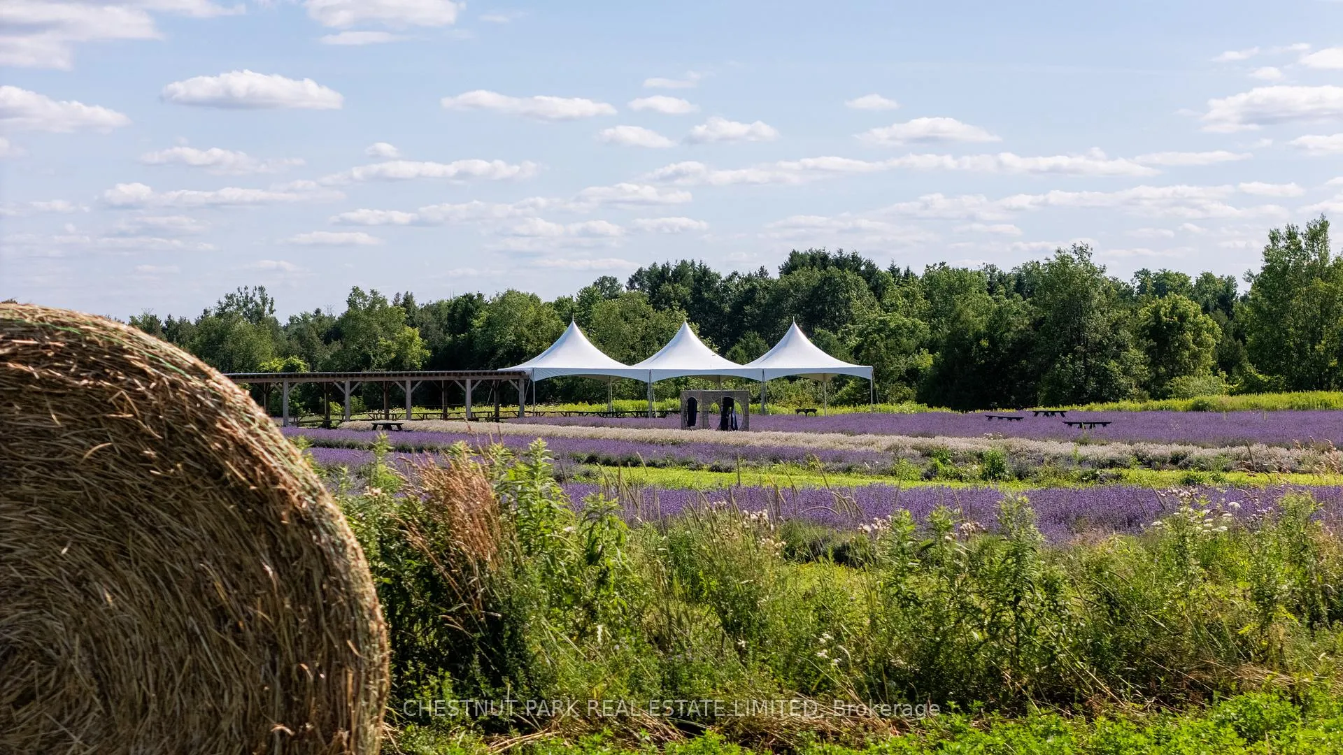 Photo 6 of 347036 Mono Centre Road, Mono, Rural Mono — HOMEH