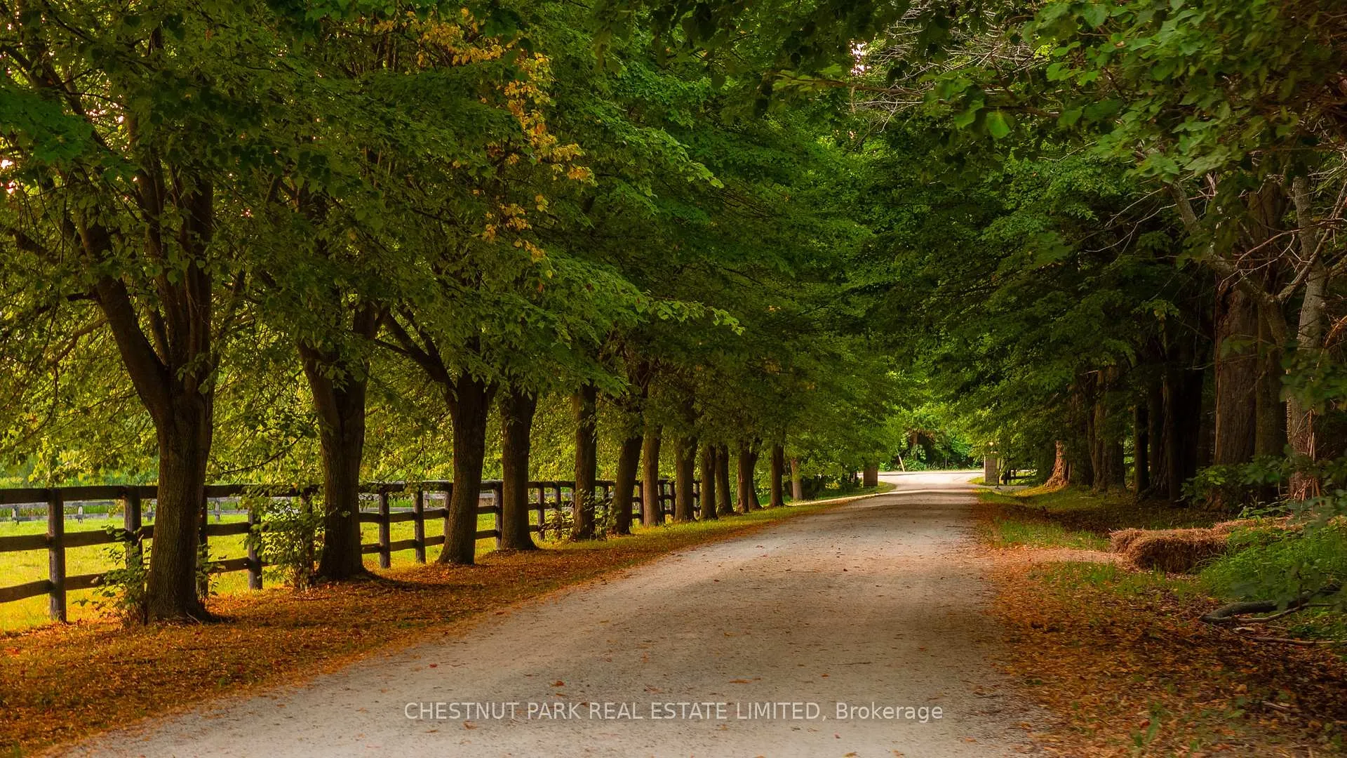 Photo 10 of 347036 Mono Centre Road, Mono, Rural Mono — HOMEH