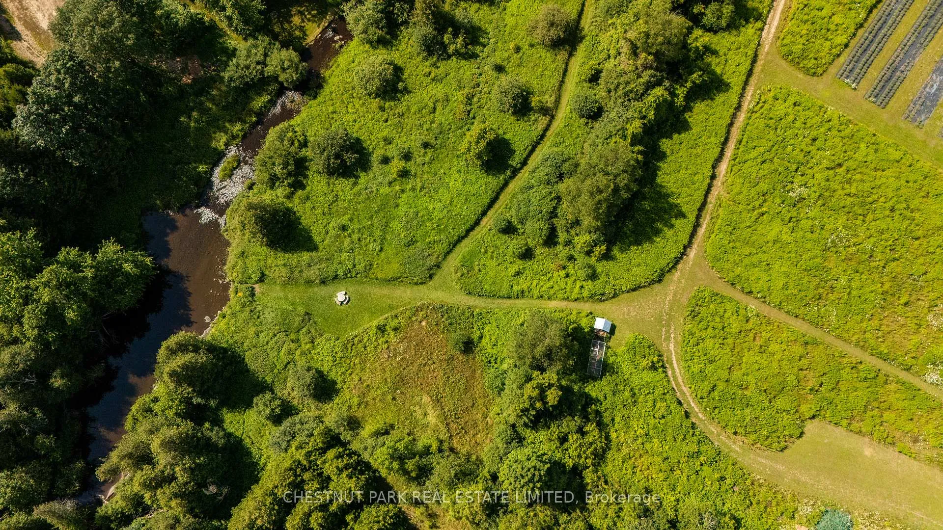 Photo 42 of 347036 Mono Centre Road, Mono, Rural Mono — HOMEH