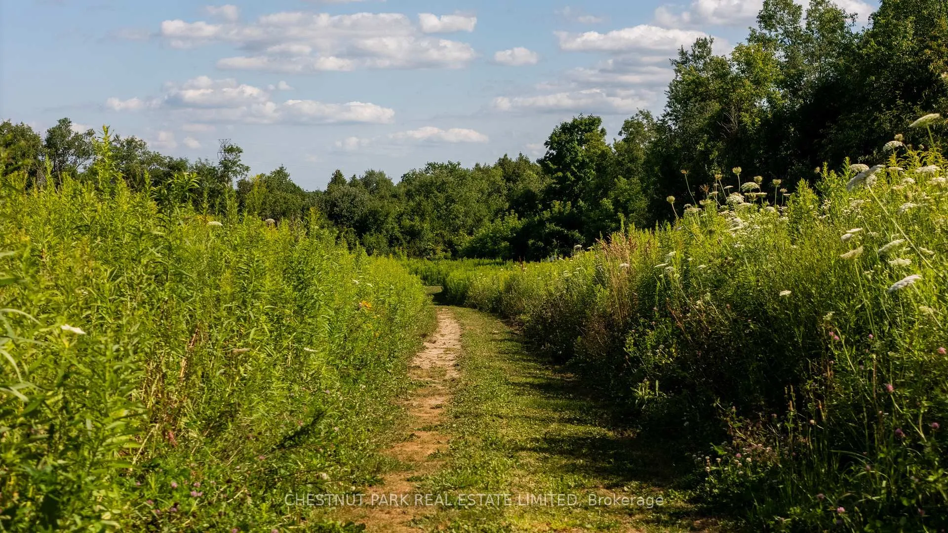 Photo 43 of 347036 Mono Centre Road, Mono, Rural Mono — HOMEH