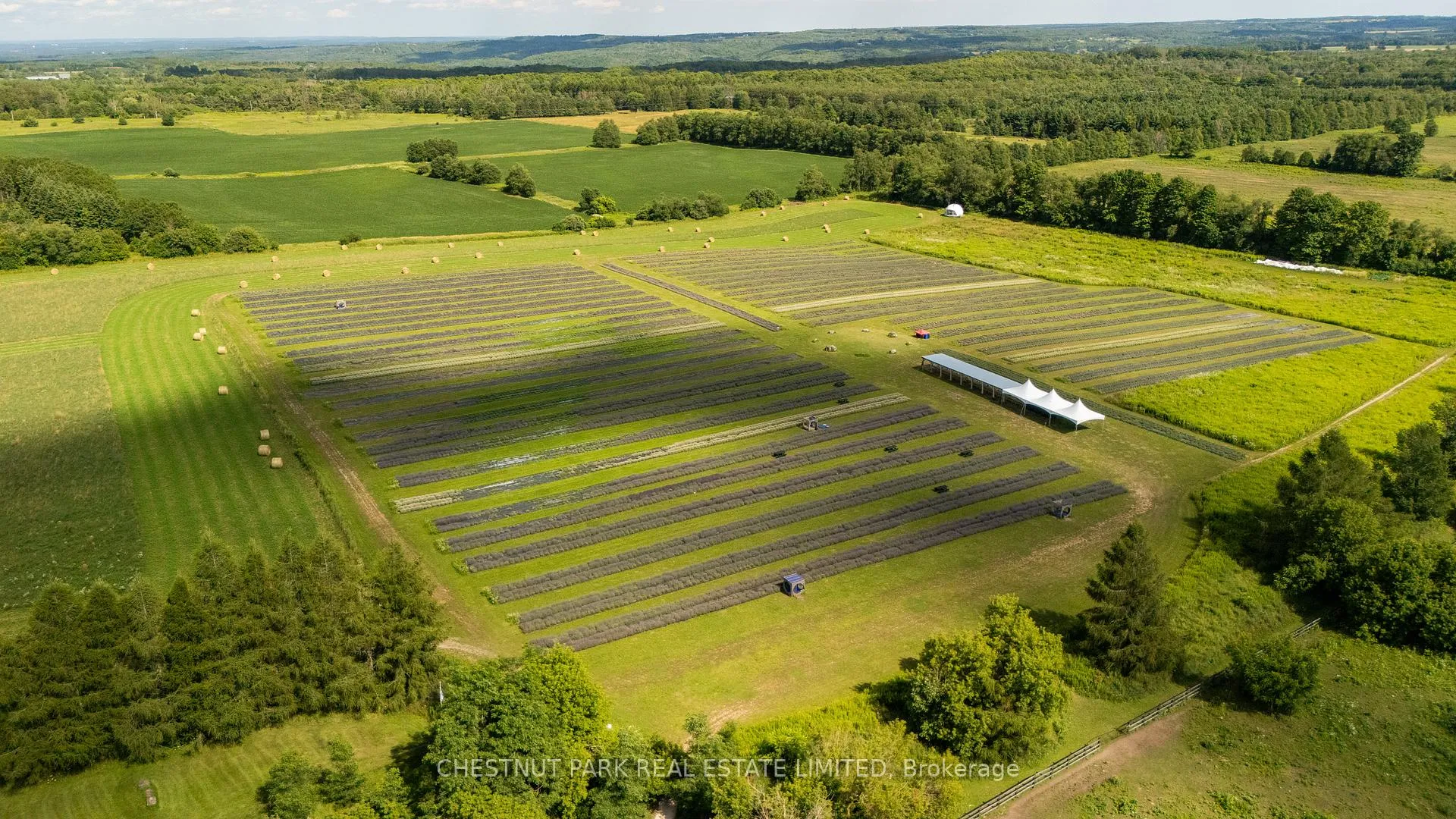 Photo 44 of 347036 Mono Centre Road, Mono, Rural Mono — HOMEH