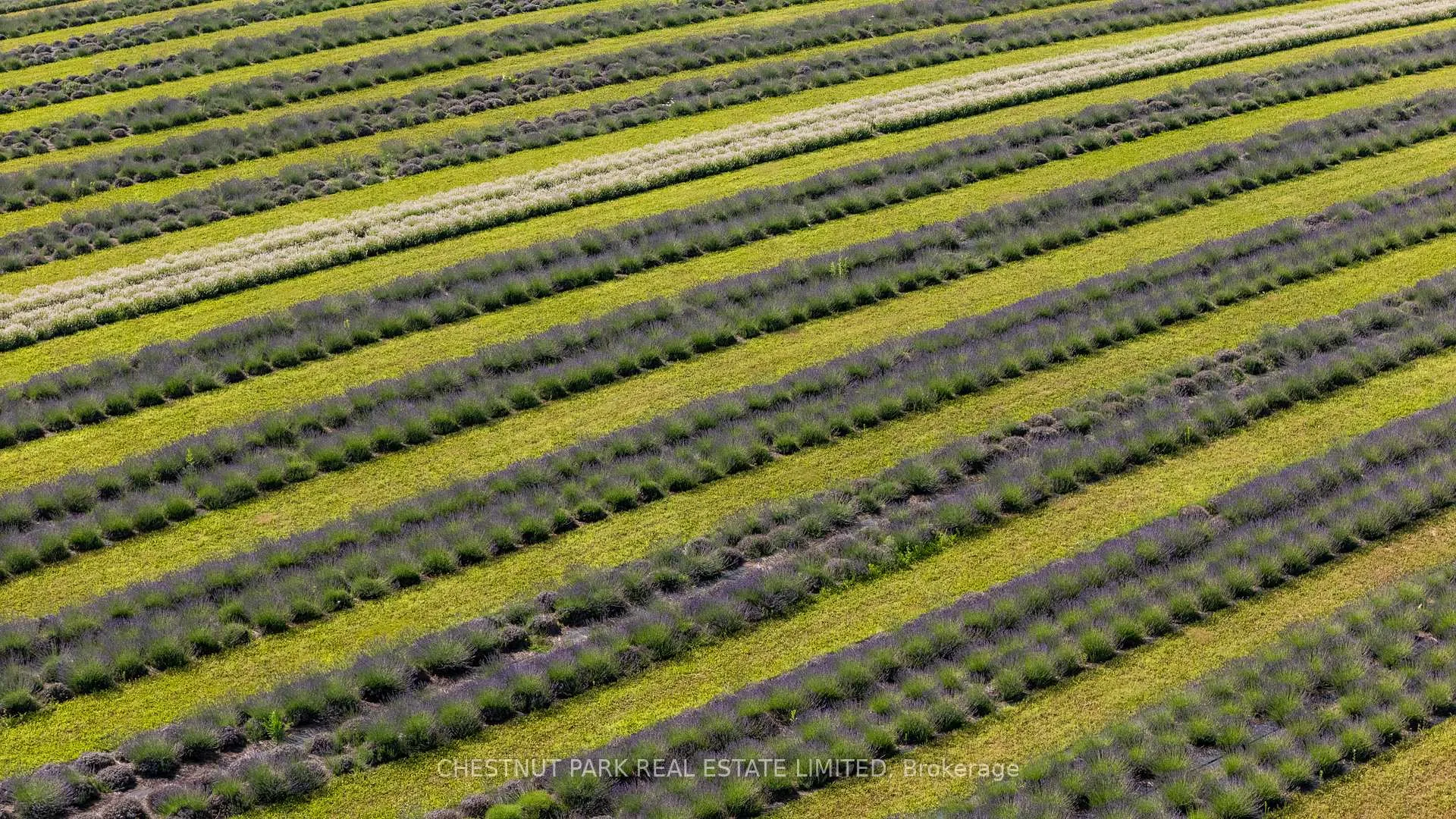 Photo 47 of 347036 Mono Centre Road, Mono, Rural Mono — HOMEH