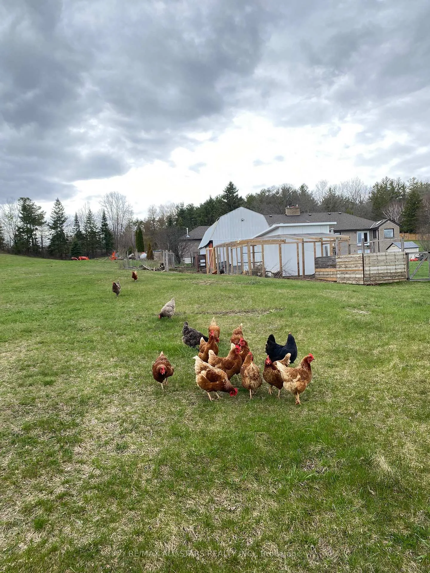 Photo 46 of 10655 Sideroad 17, Brock, Rural Brock — HOMEH