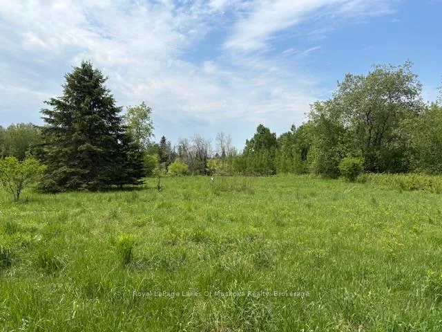 Photo of 351 Ravenscliffe Road
