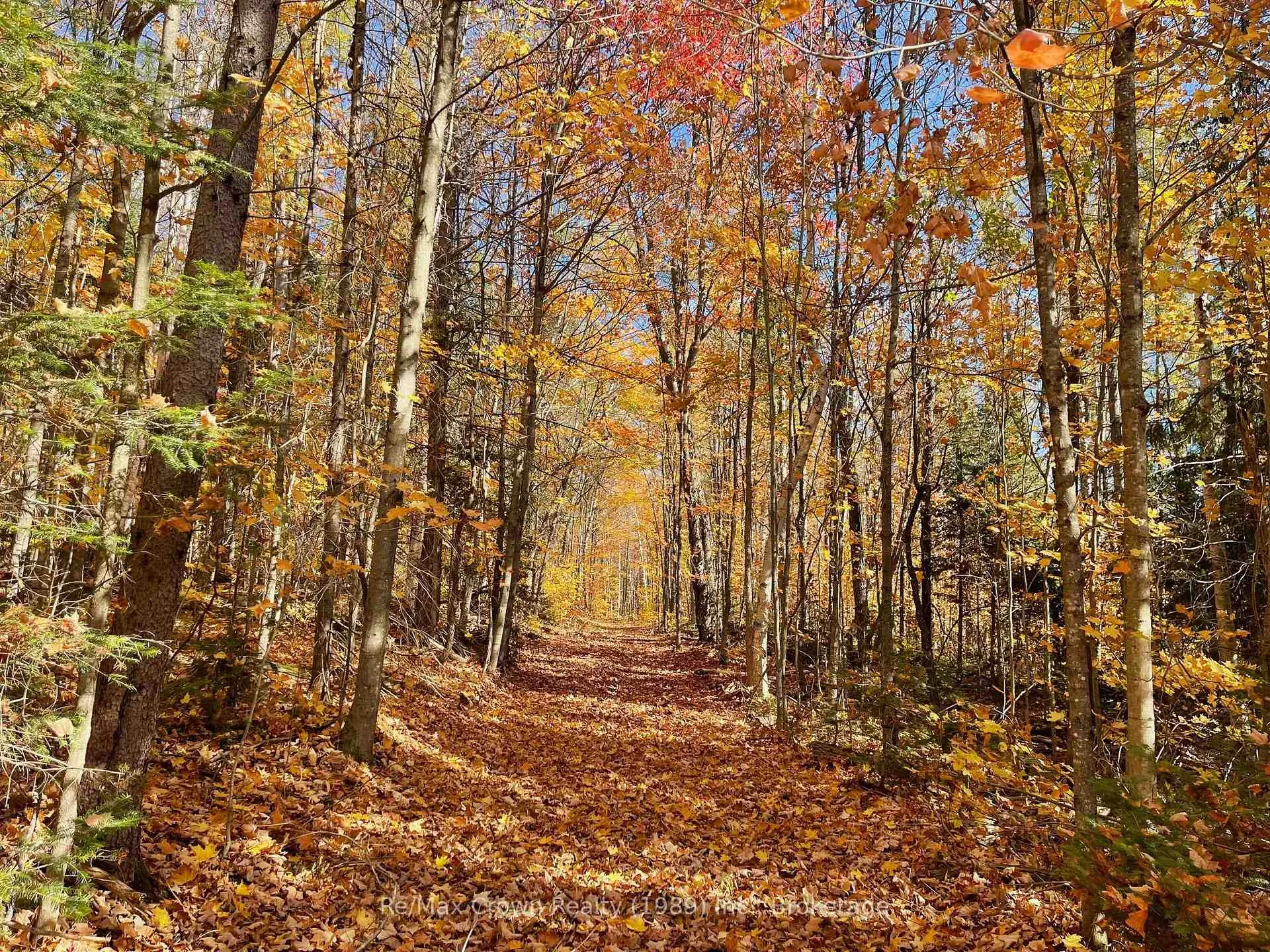 Photo 1 of 20th Side Road, Parry Sound Remote Area, McConkey — HOMEH