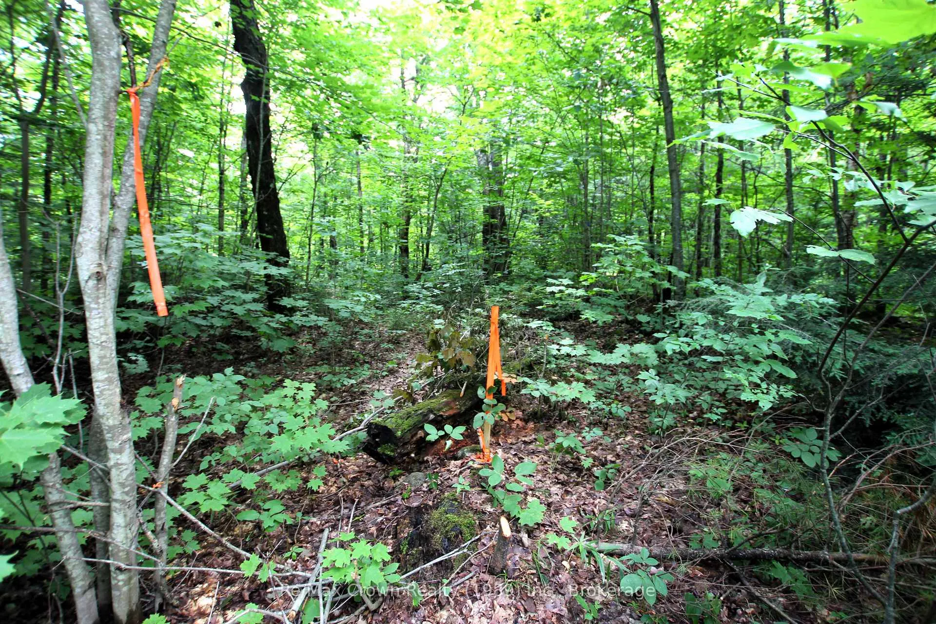 Photo 3 of 20th Side Road, Parry Sound Remote Area, McConkey — HOMEH