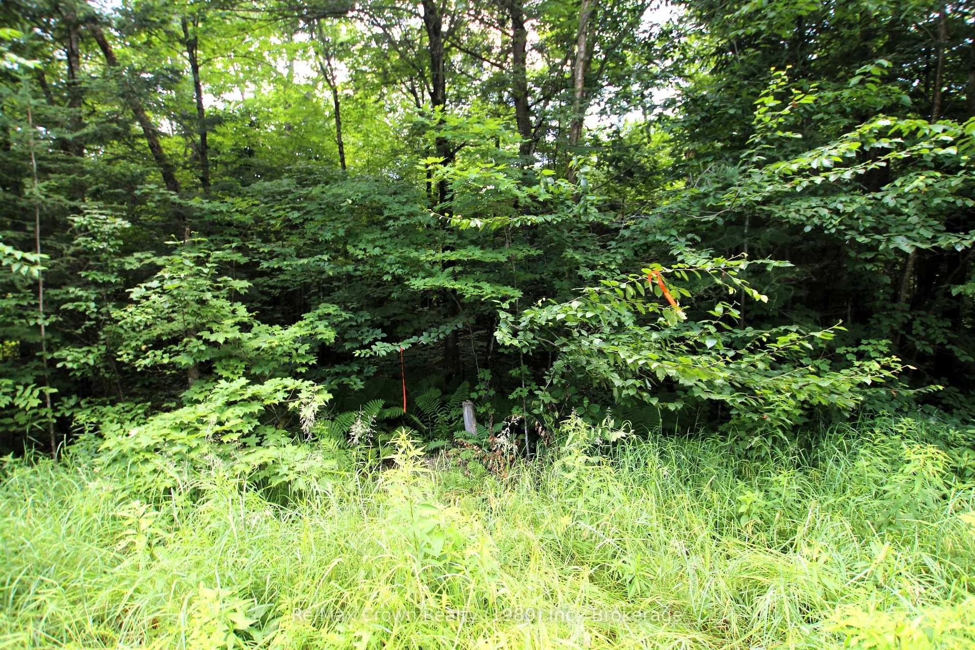 Photo 4 of 20th Side Road, Parry Sound Remote Area, McConkey — HOMEH