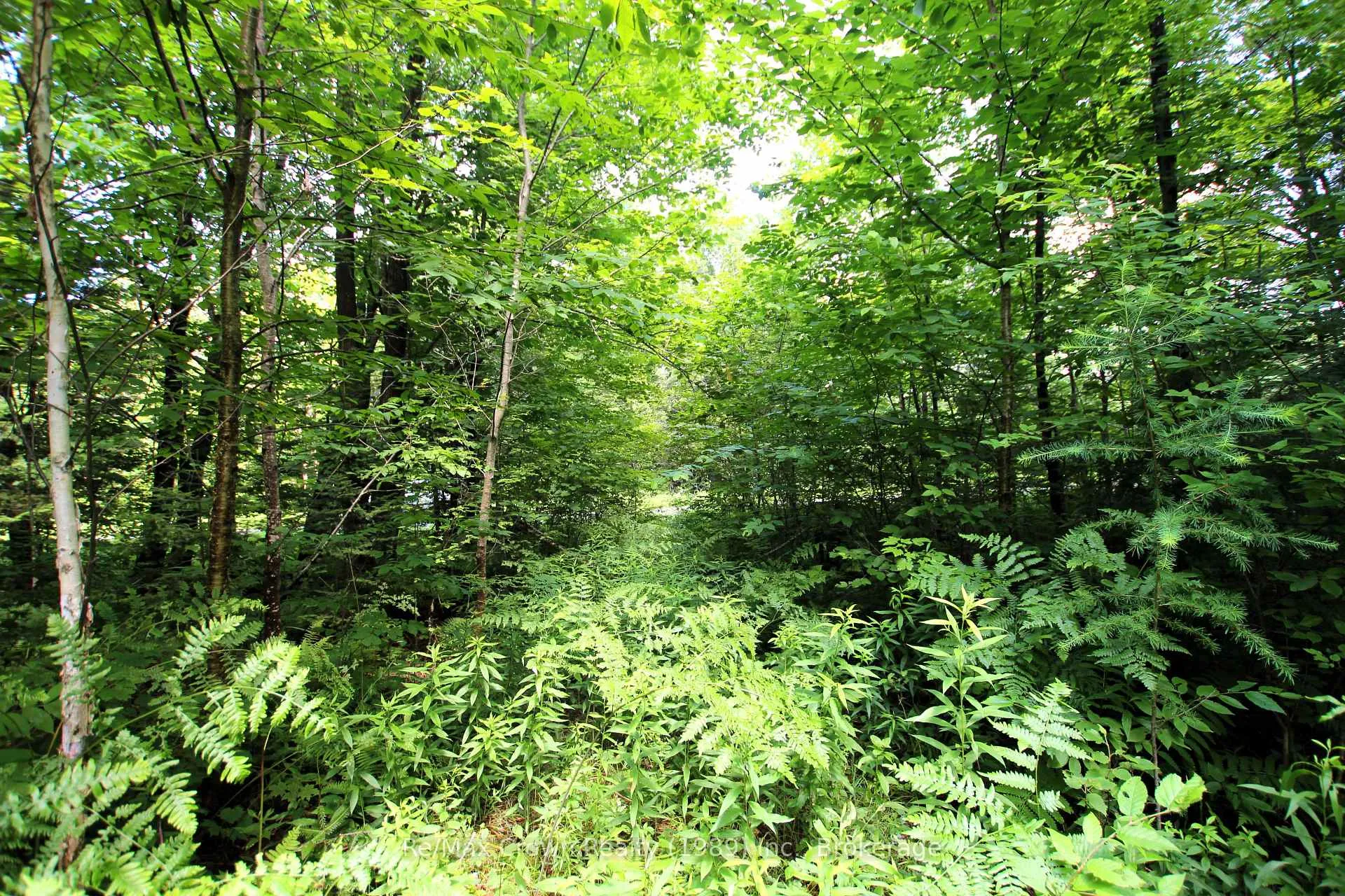 Photo 5 of 20th Side Road, Parry Sound Remote Area, McConkey — HOMEH