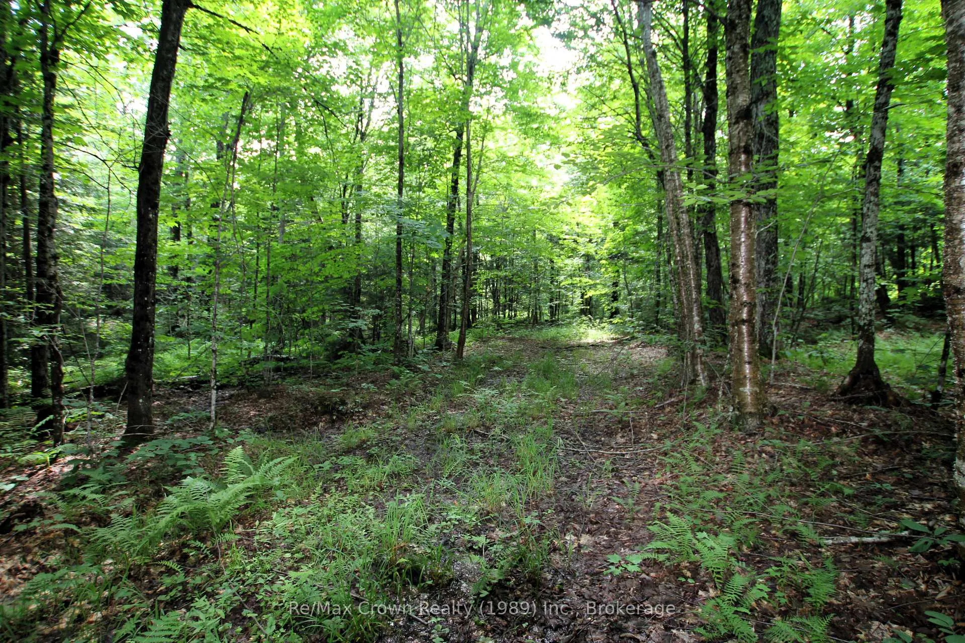 Photo 10 of 20th Side Road, Parry Sound Remote Area, McConkey — HOMEH